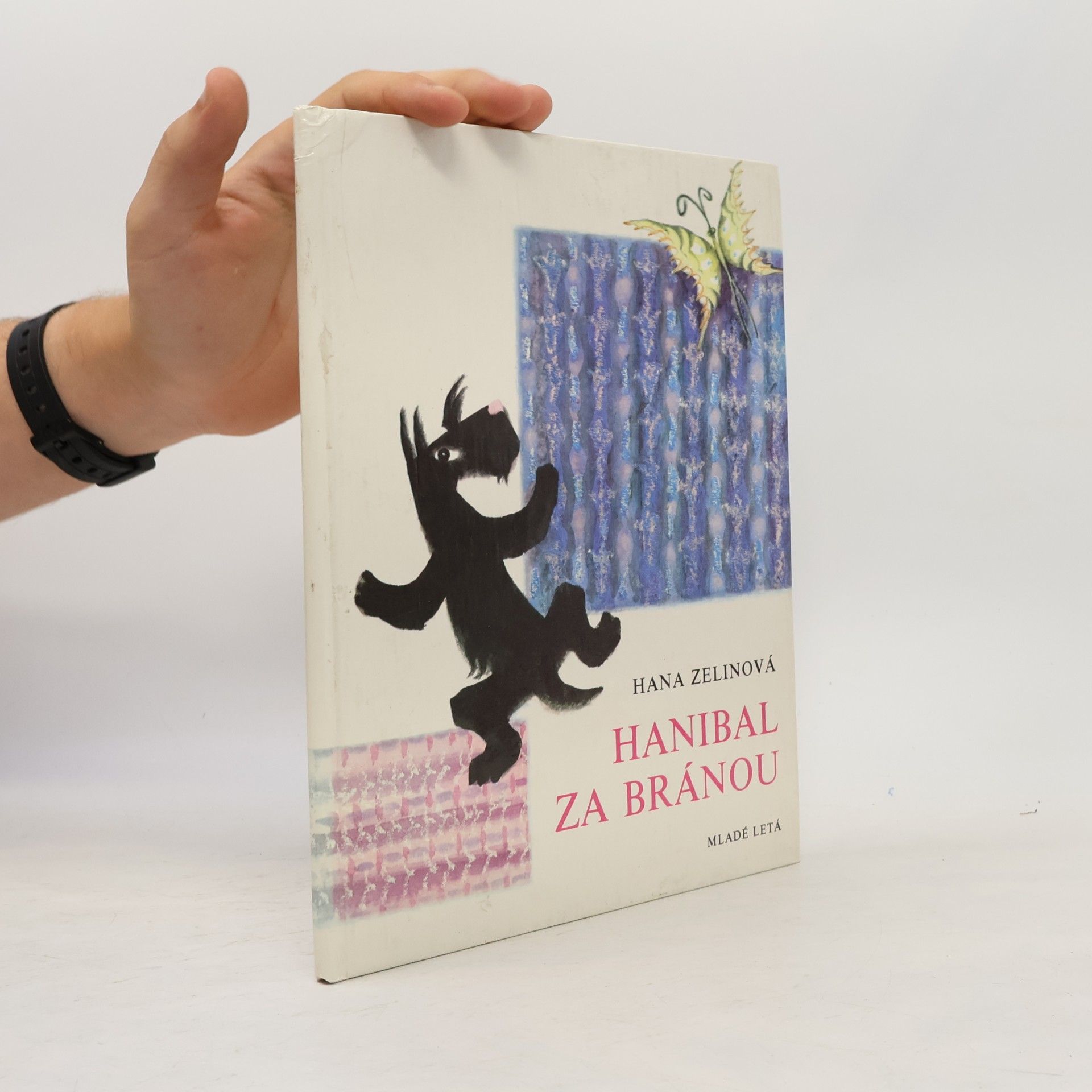 Hanibal za bránou