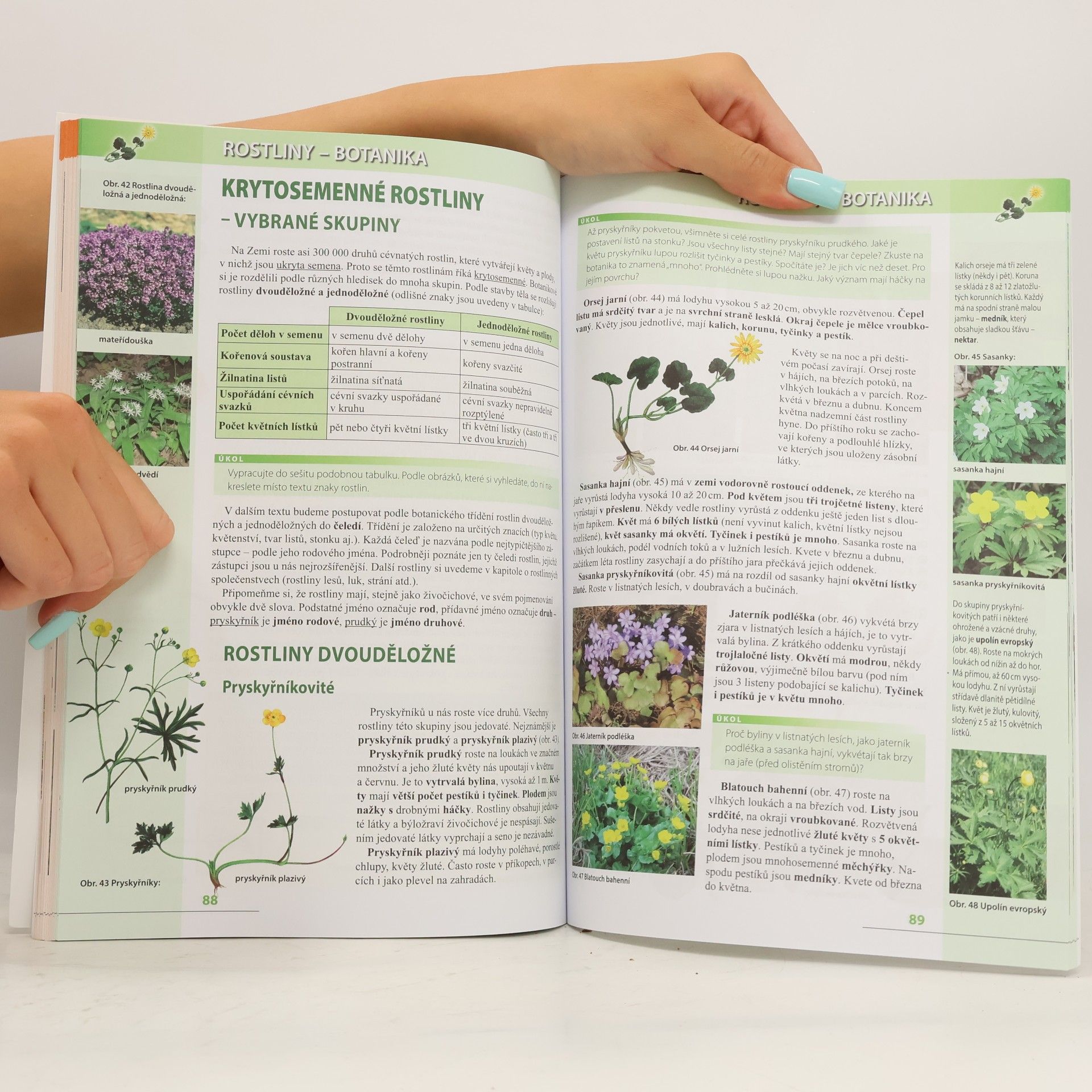 Autores varios Přírodopis 7. Zoologie a botanika pro základní školy