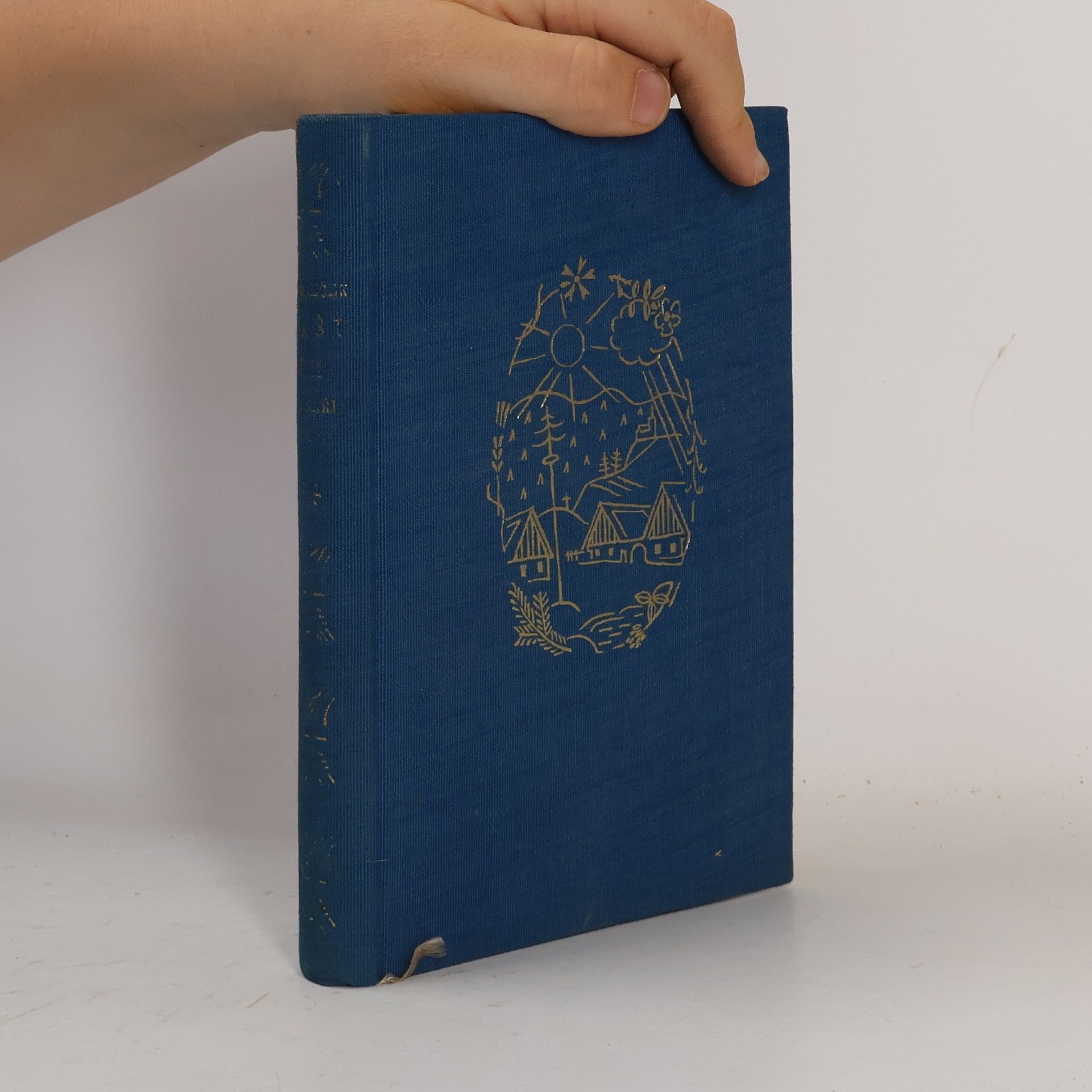 Josef Holeček Naši VIII: Emissaři I