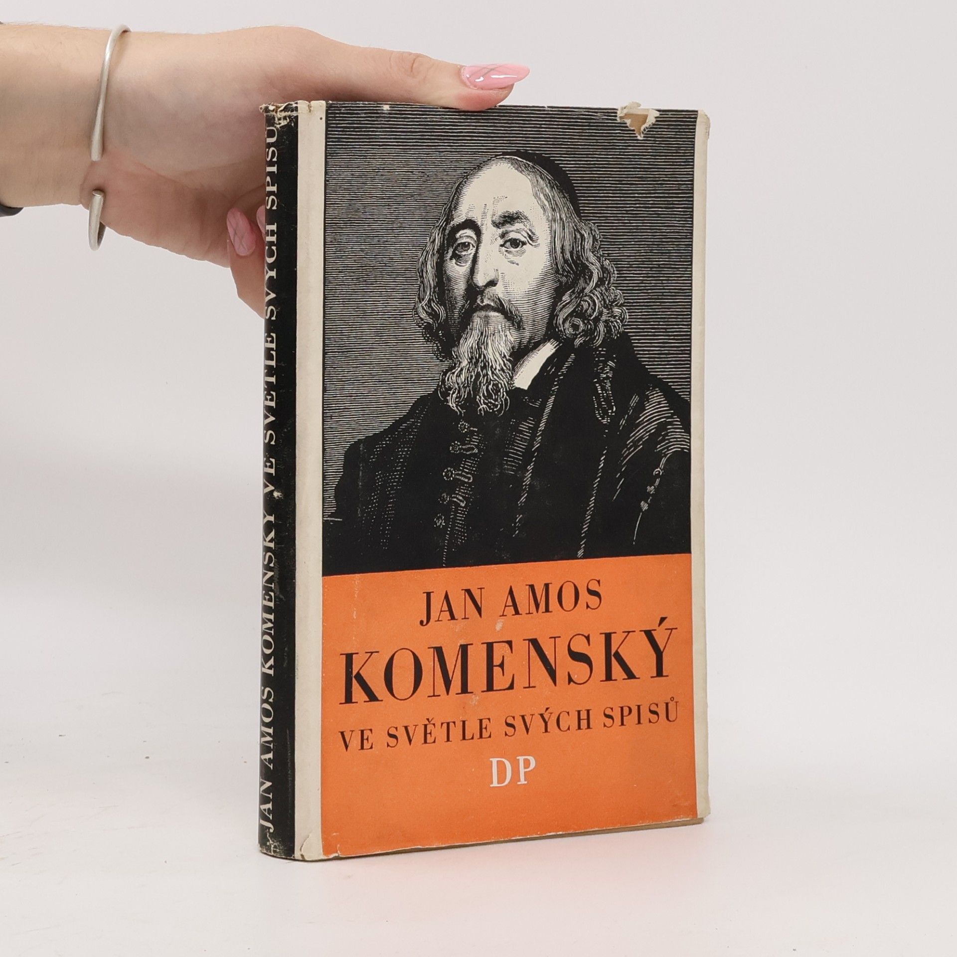 Josef Hendrich Jan Amos Komenský ve světle svých spisů
