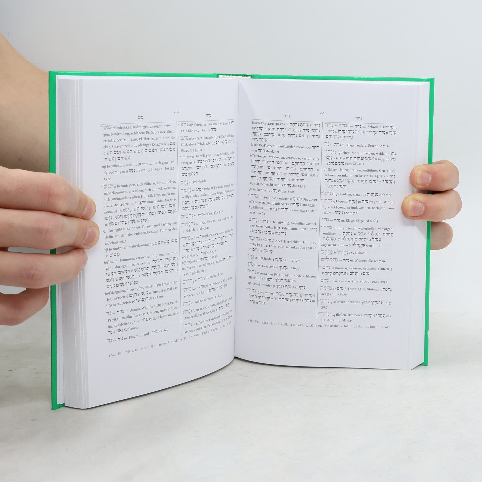 Frank Matheus PONS Kompaktwörterbuch Althebräisch