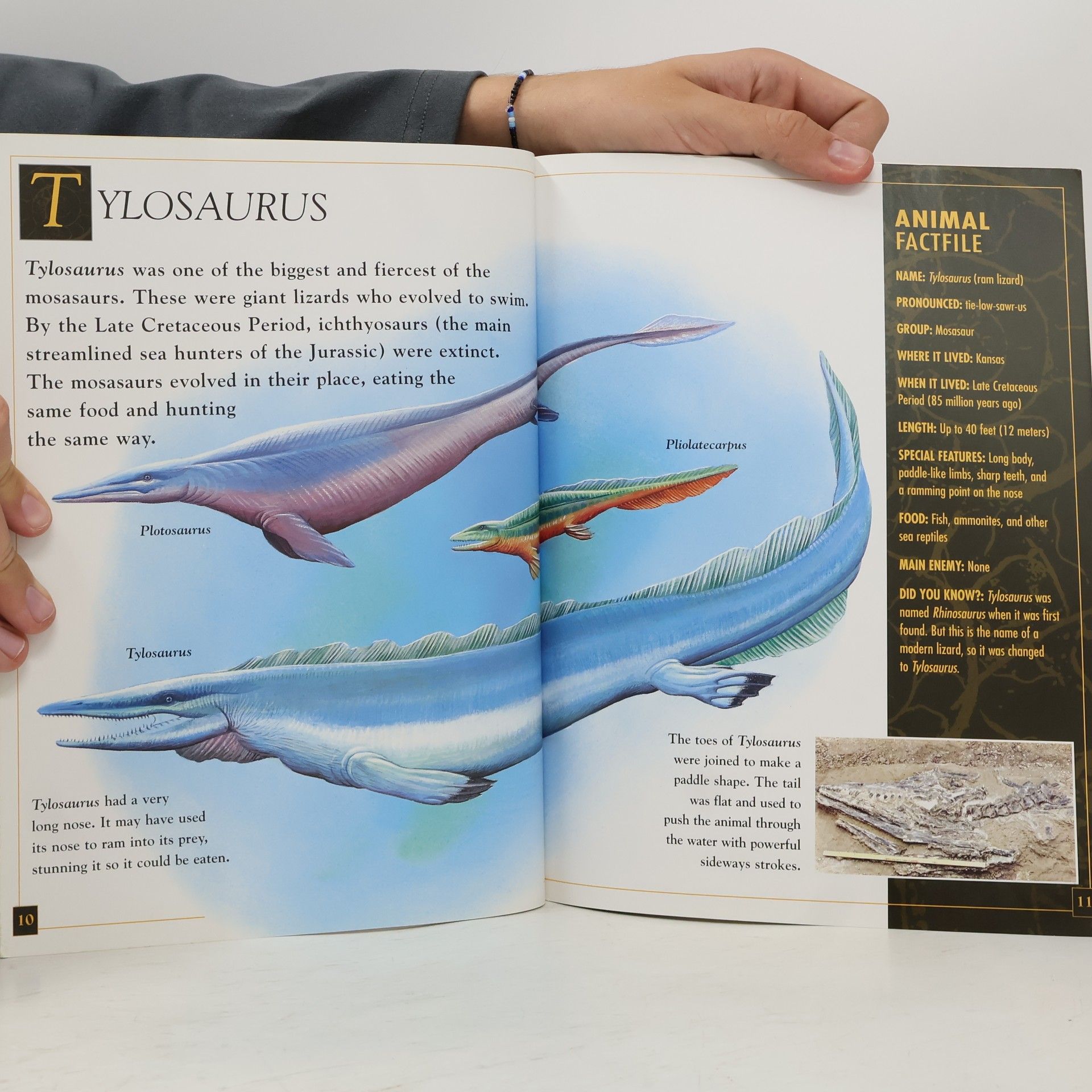 Dougal Dixon Prehistoric World: Cretaceous Life
