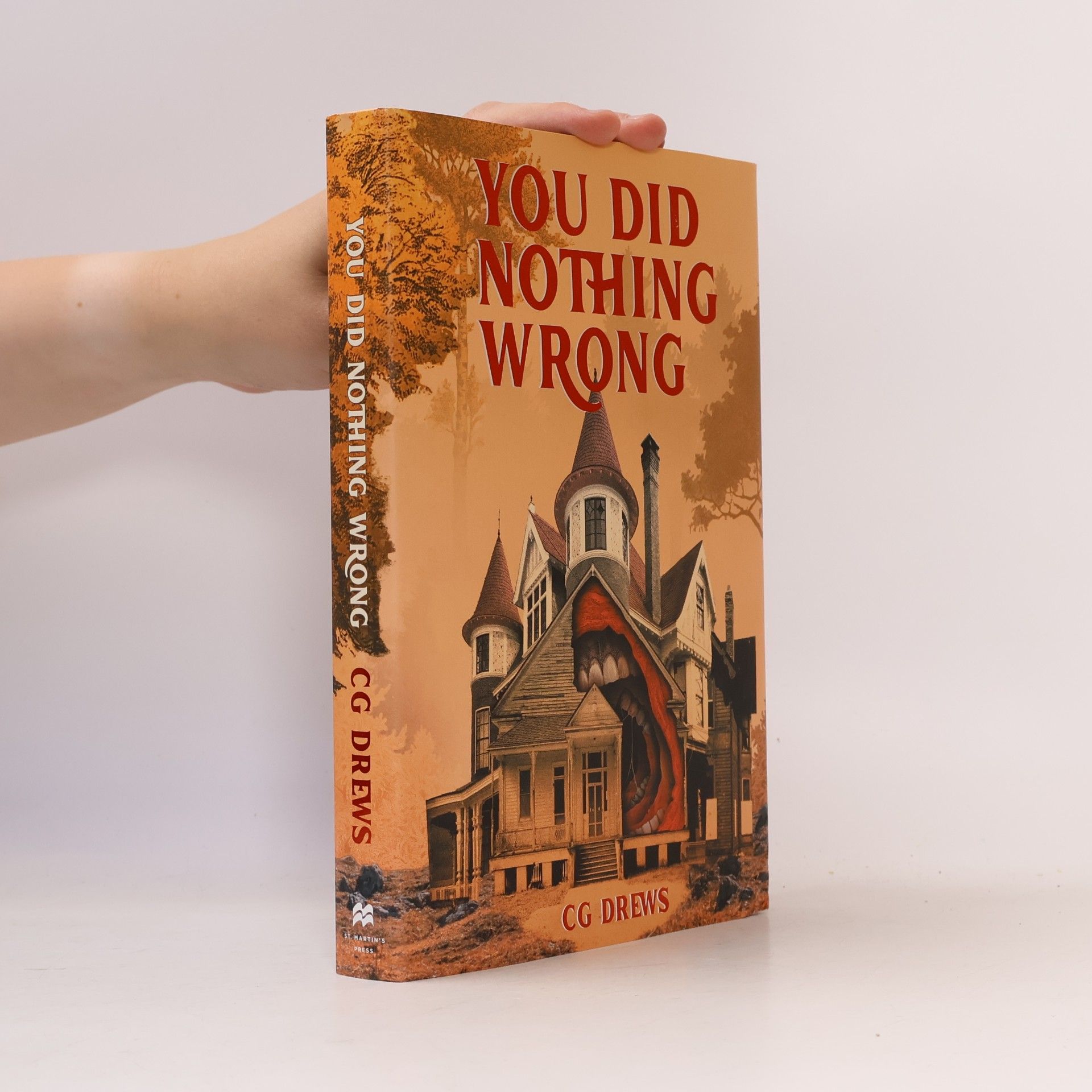 C. G. Drews You Did Nothing Wrong: A Novel
