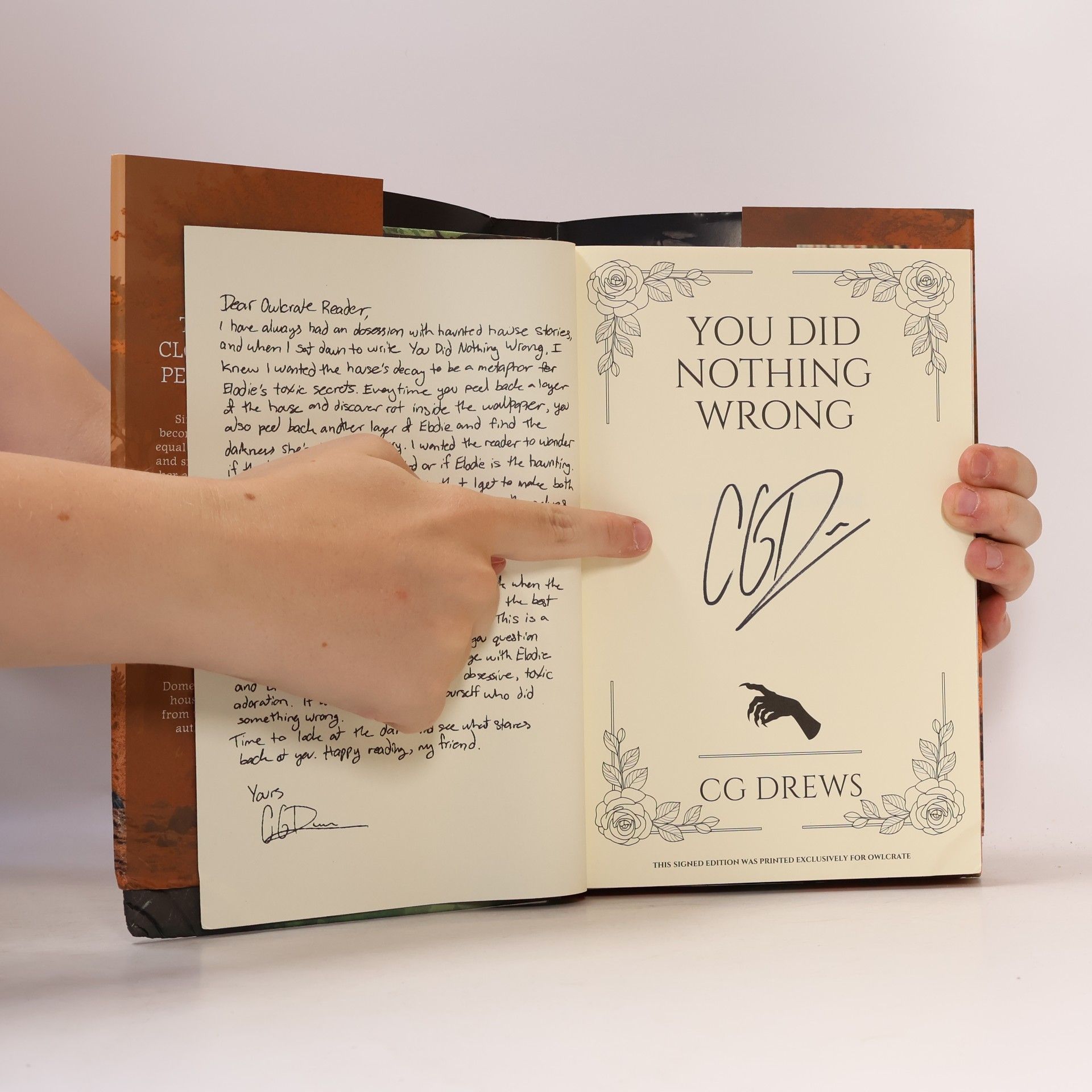 C. G. Drews You Did Nothing Wrong: A Novel