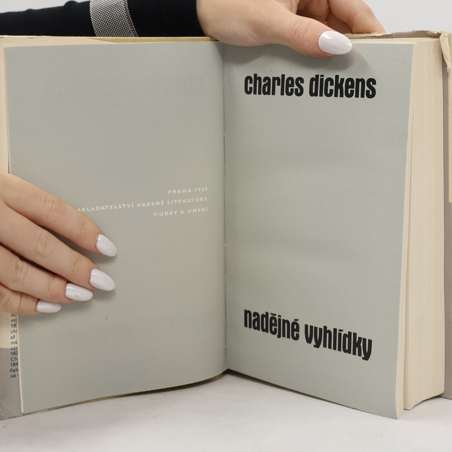 Charles Dickens Nadějné vyhlídky