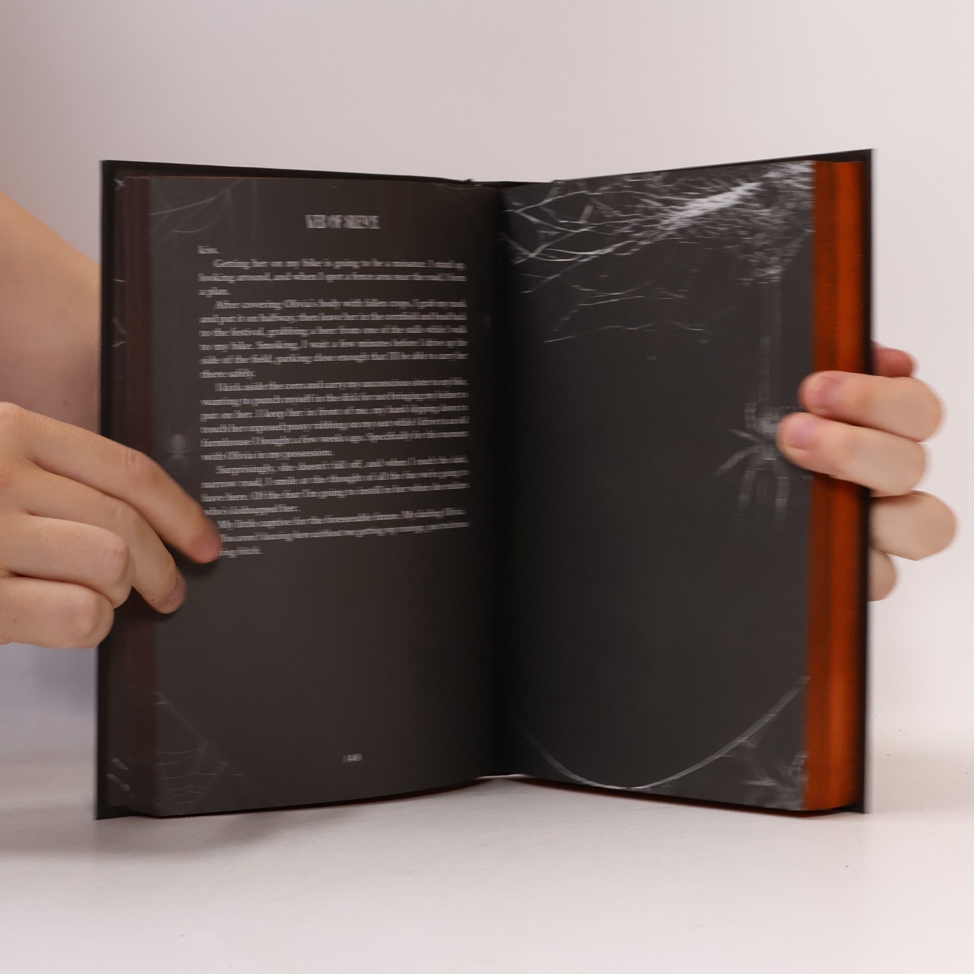 Leigh Rivers The Web of Silence Duet Book