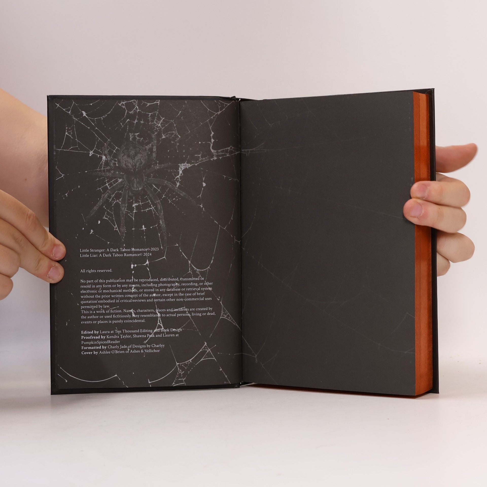 Leigh Rivers The Web of Silence Duet Book