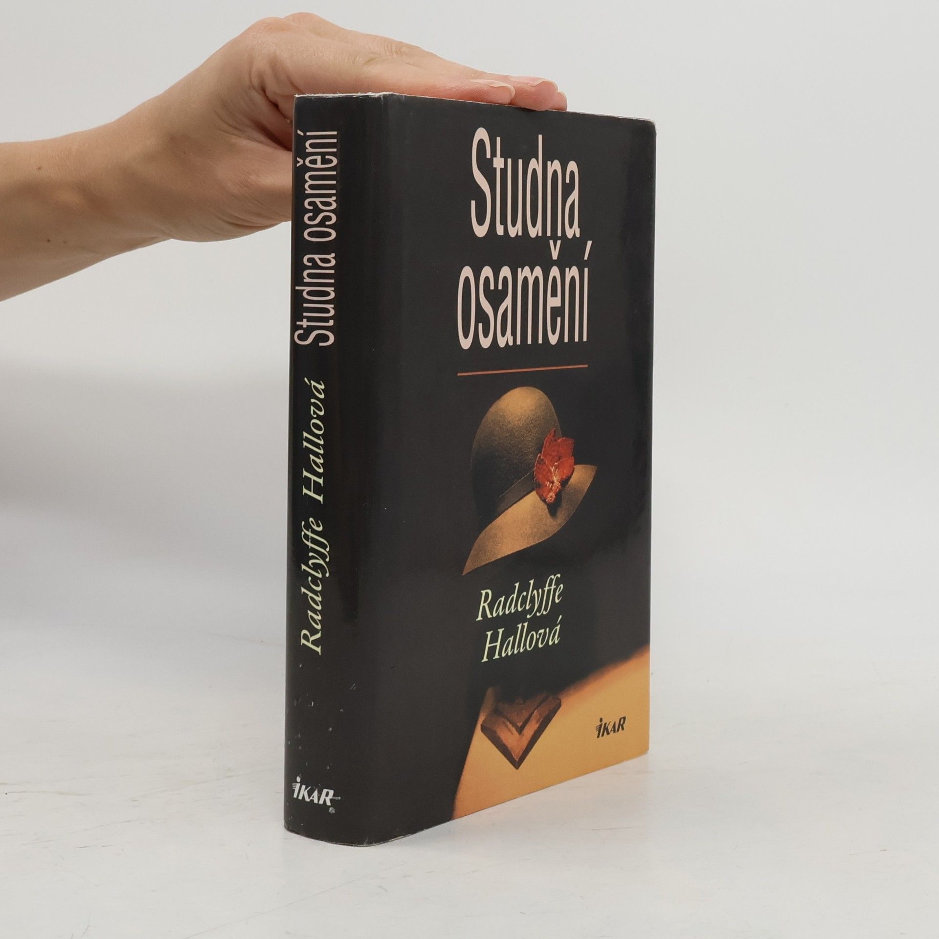 Radclyffe Hall Studna osamění