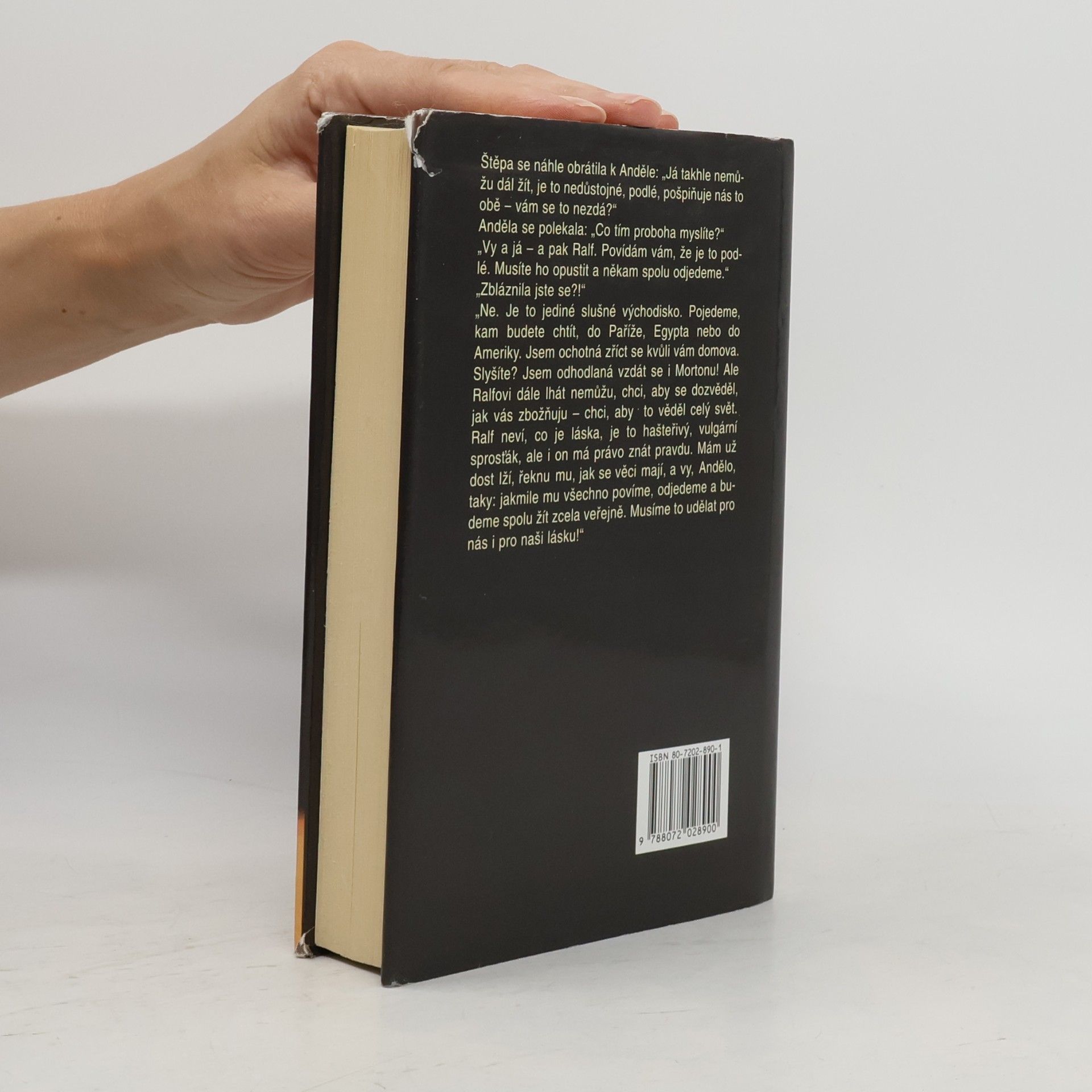 Radclyffe Hall Studna osamění