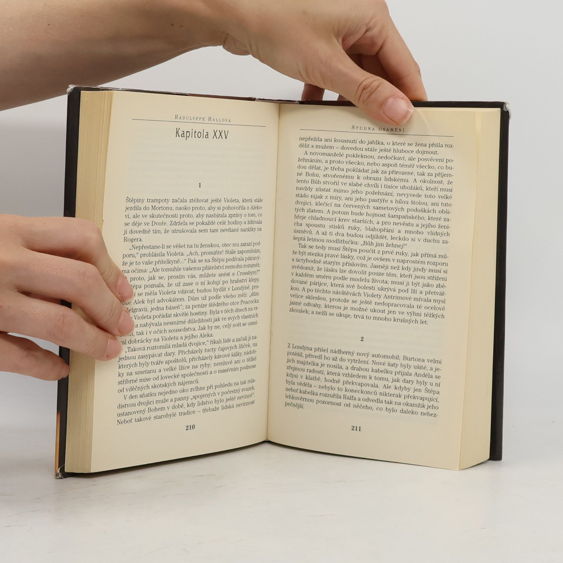 Radclyffe Hall Studna osamění