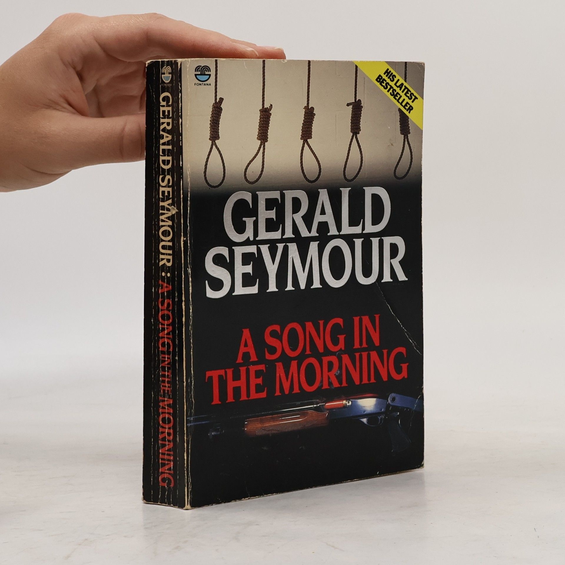 Gerald Seymour A Song in the Morning