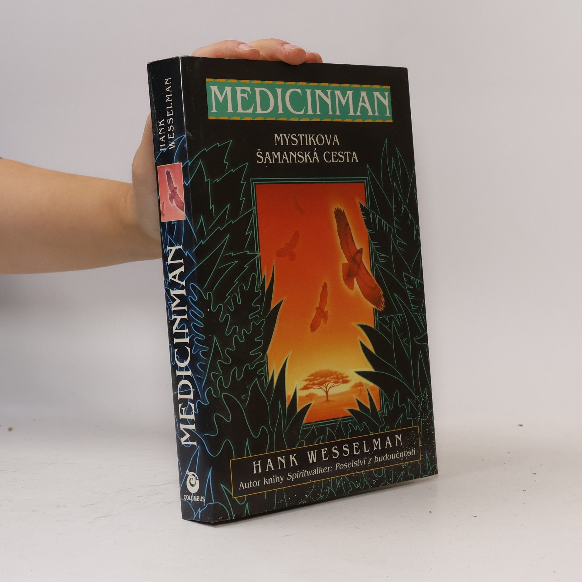 Medicinman. Mystik se vydává na šamanskou cestu