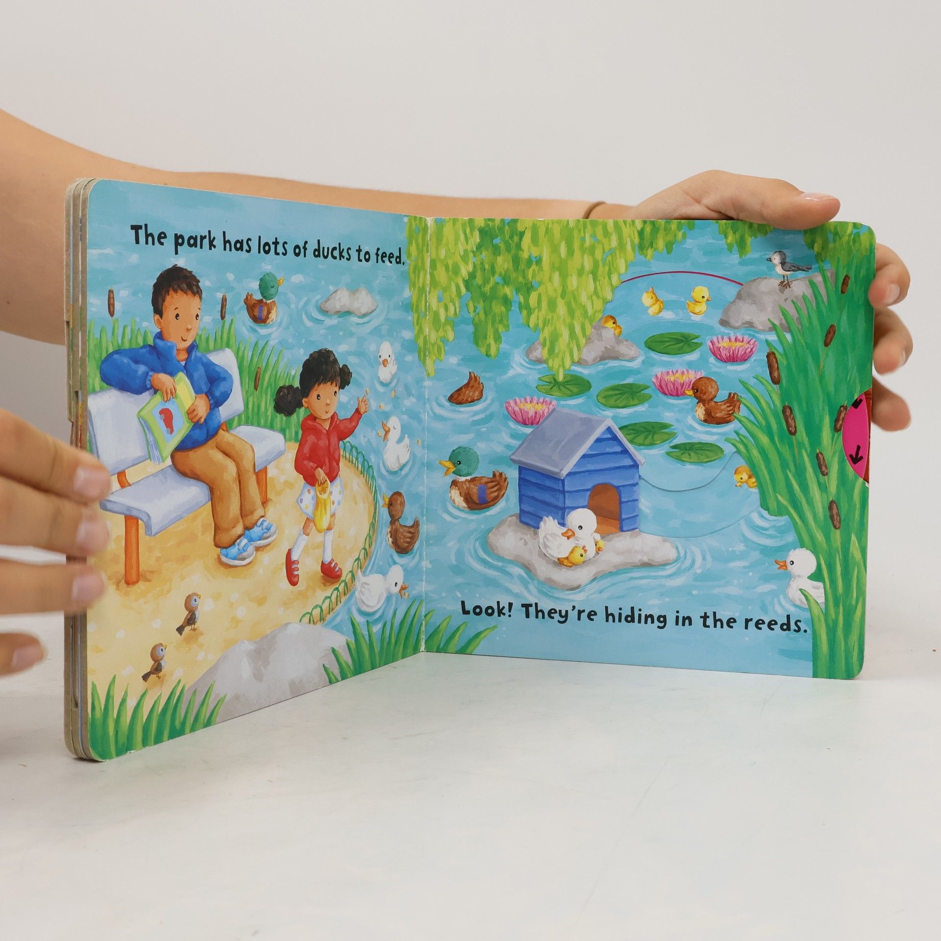 Rebecca Finn Busy Books: Busy Town