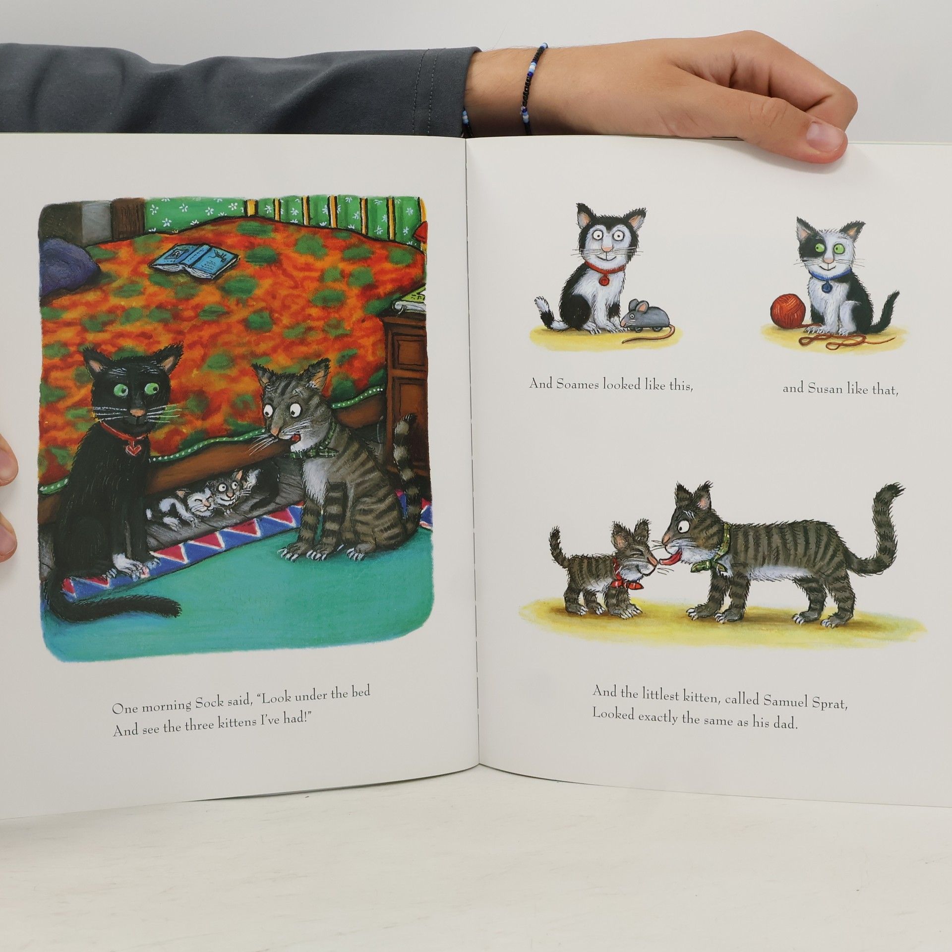 Julia Donaldson Tabby McTat. Tommi Tatze, englische Ausgabe