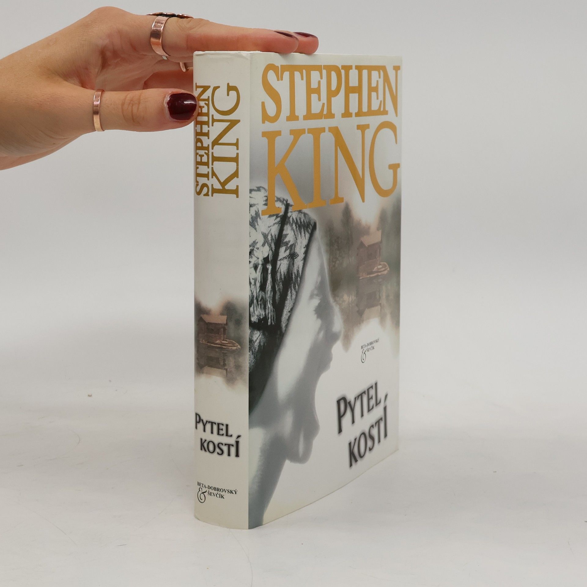 Stephen King Pytel kostí