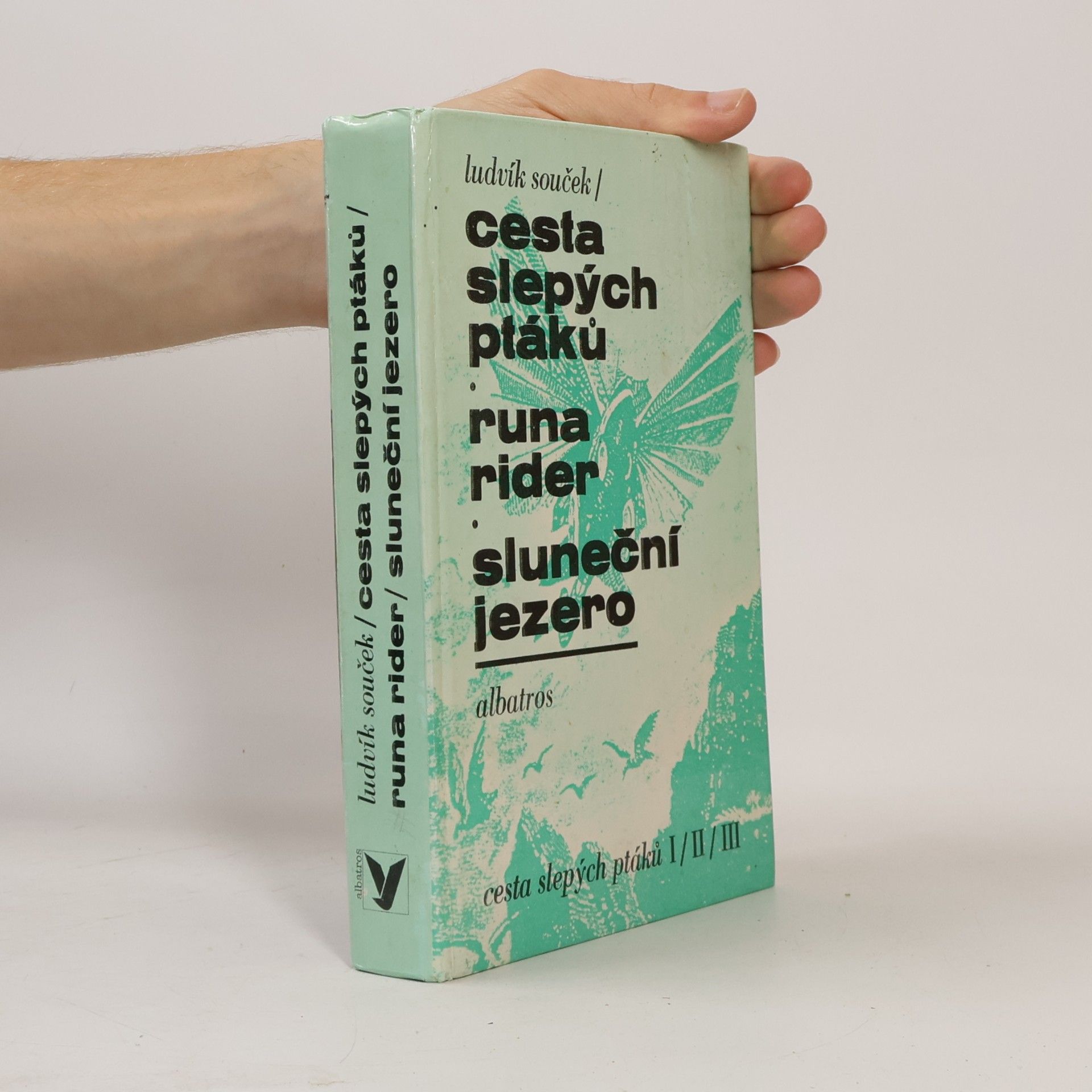 Ludvík Souček Cesta slepých ptáků. Runa rider. Sluneční jezero