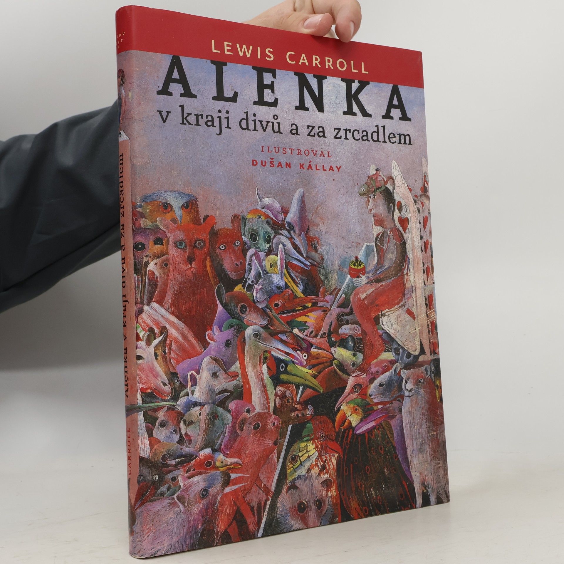 Dušan Kállay Alenka v kraji divů a za zrcadlem