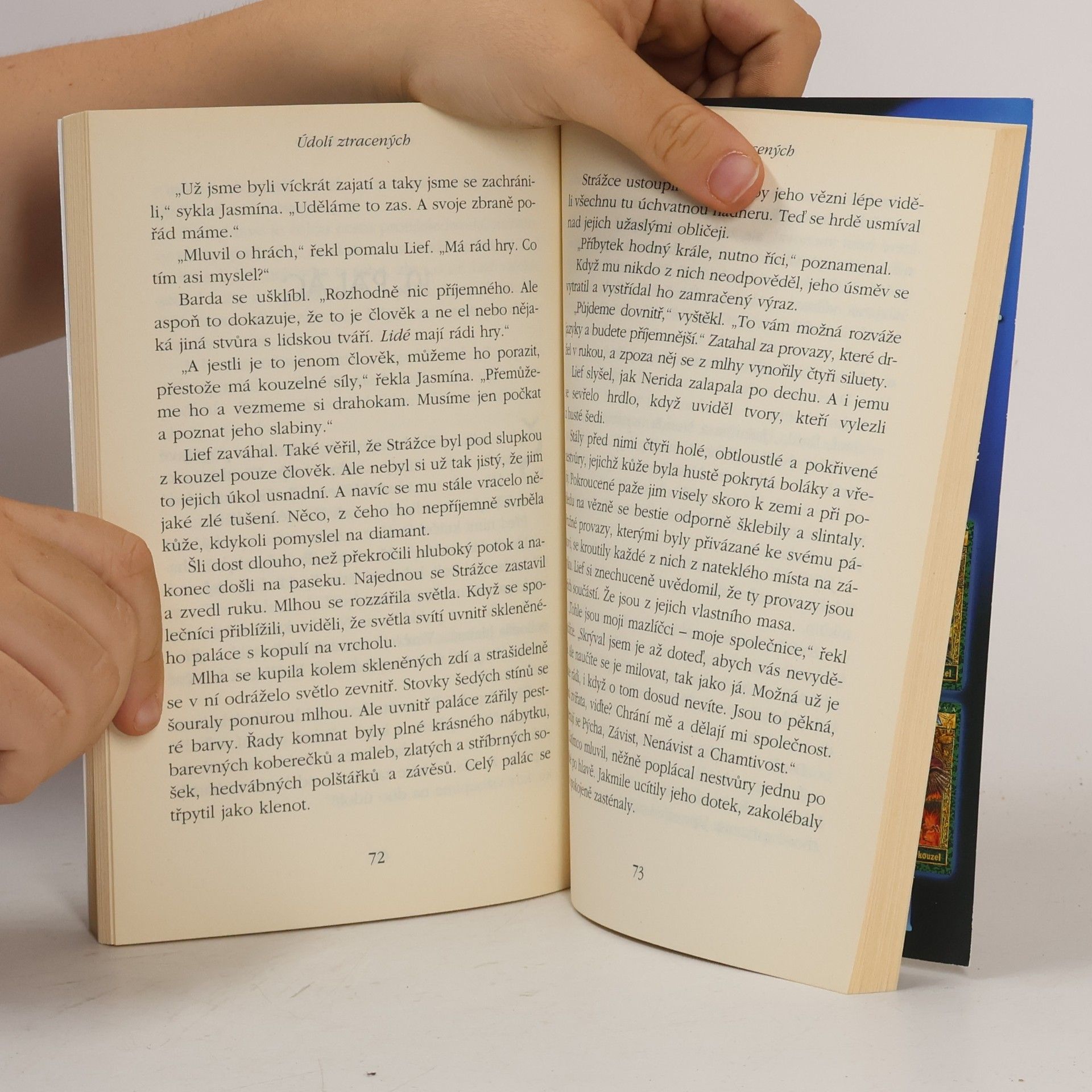 Jennifer Rowe Údolí ztracených. Deltora. 7. díl