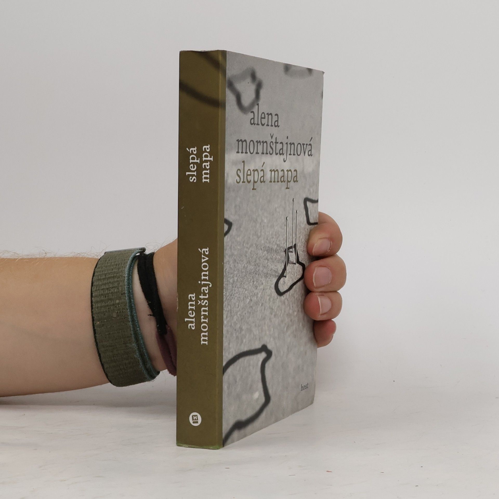 Alena Mornštajnová Slepá mapa