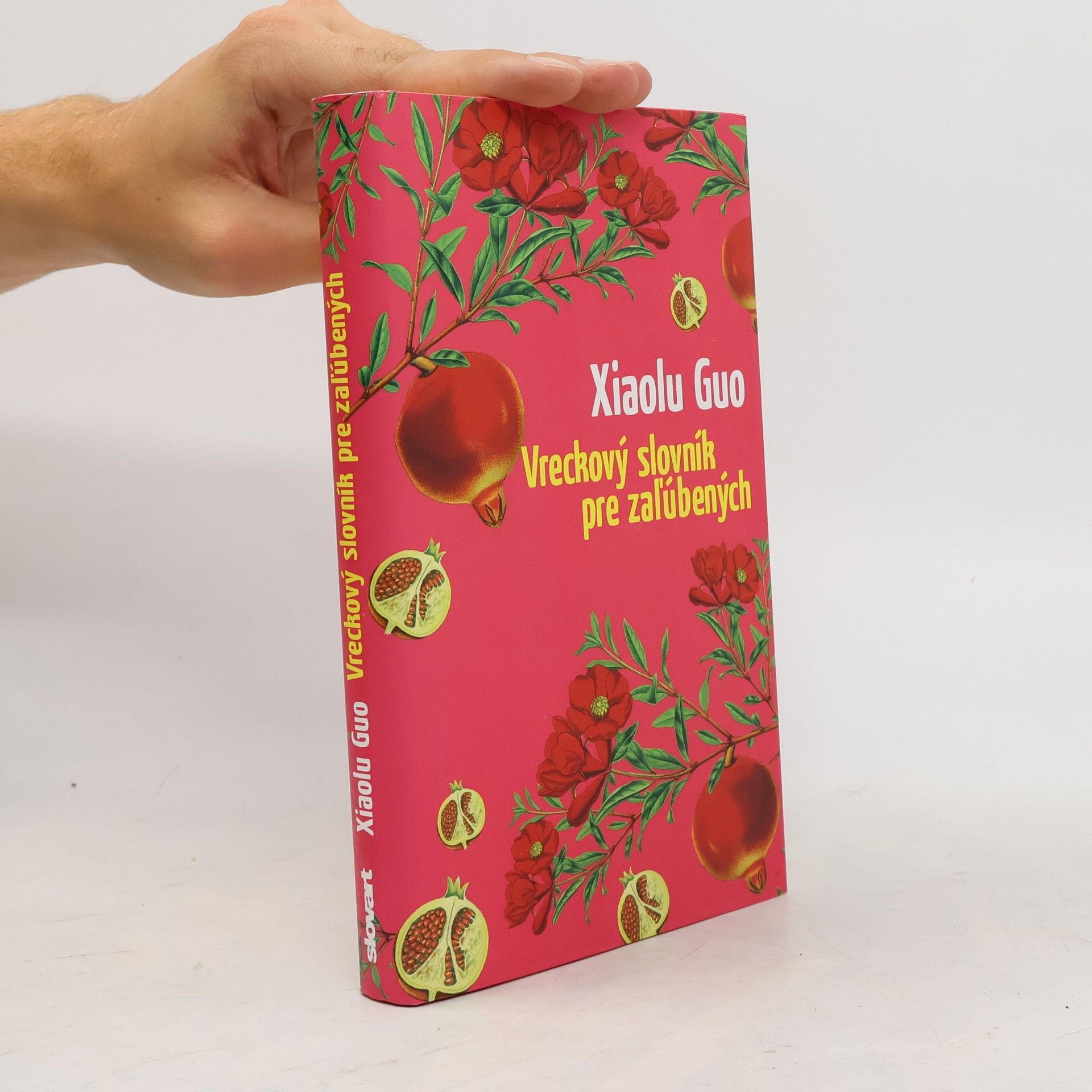 Xiaolu Guo Vreckový slovník pre zaľúbených