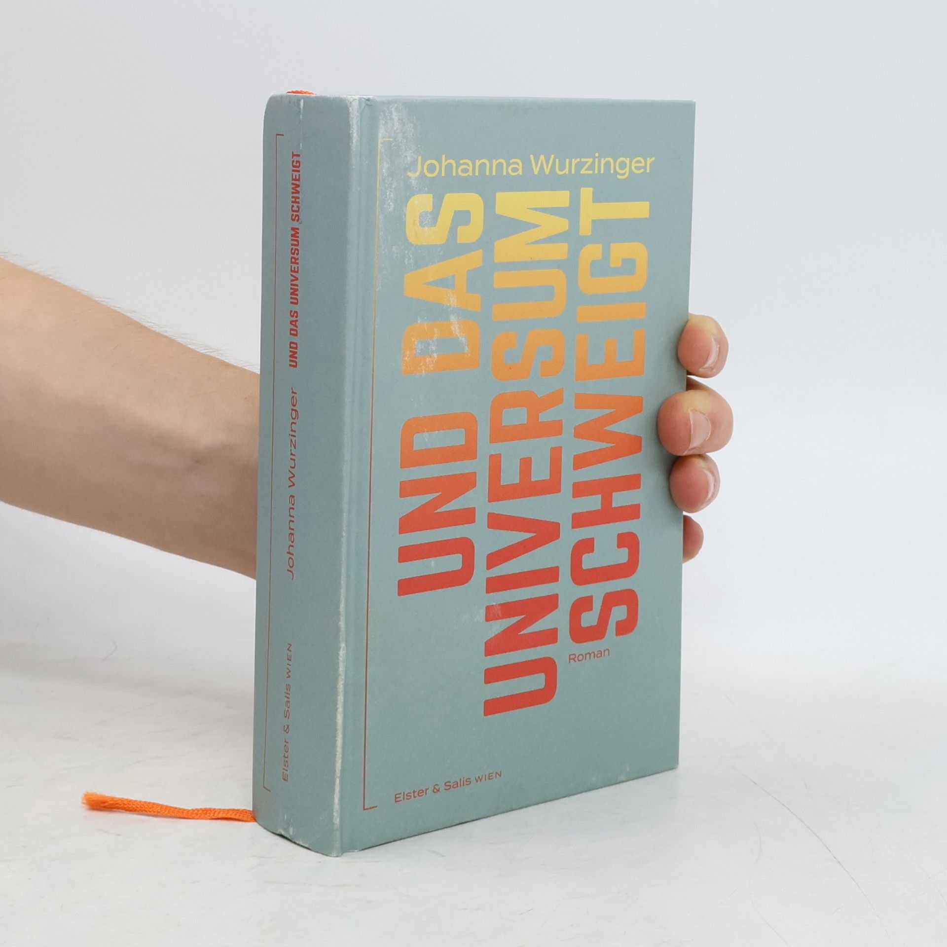 Johanna Wurzinger Und das Universum schweigt