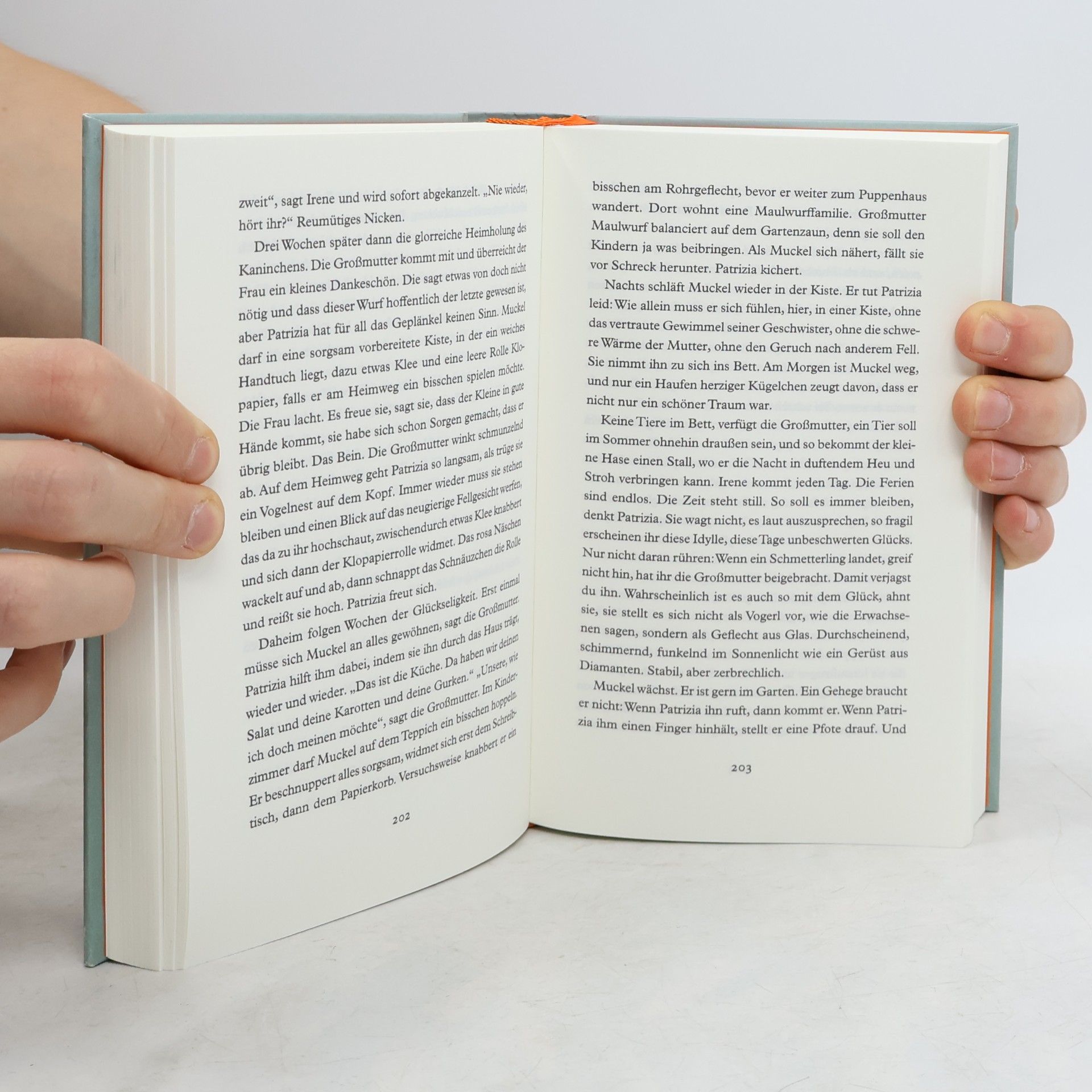 Johanna Wurzinger Und das Universum schweigt