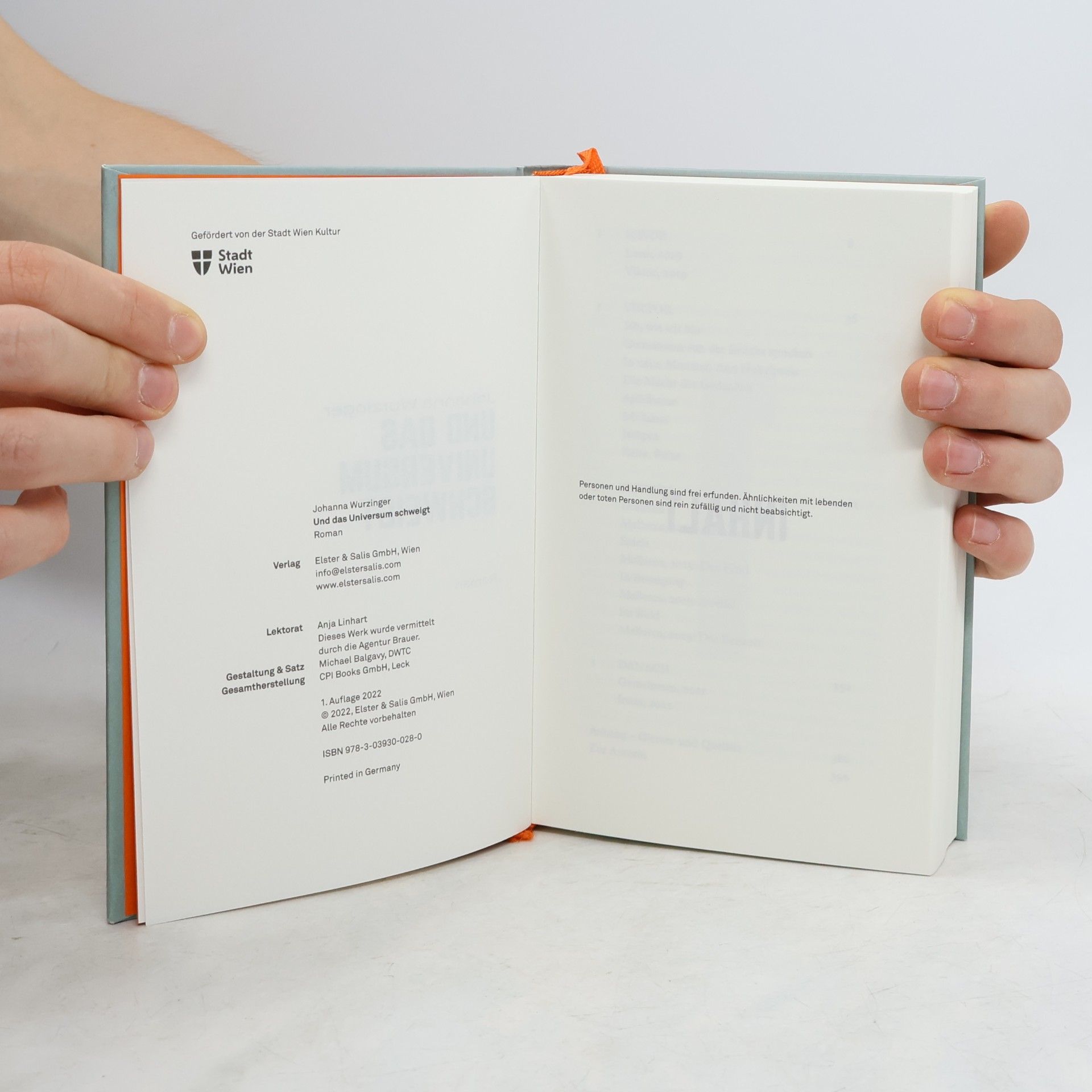 Johanna Wurzinger Und das Universum schweigt