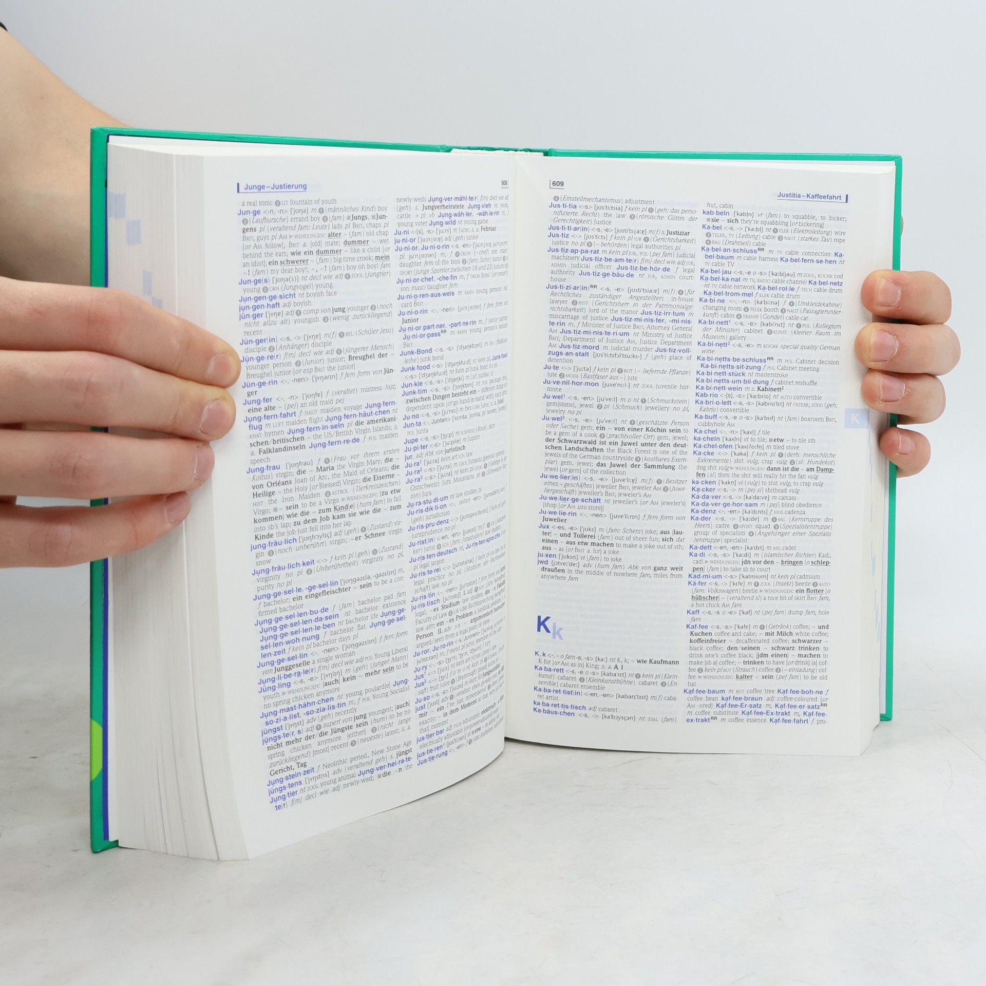 Marieluise Schmitz PONS Wörterbuch für Schule und Studium