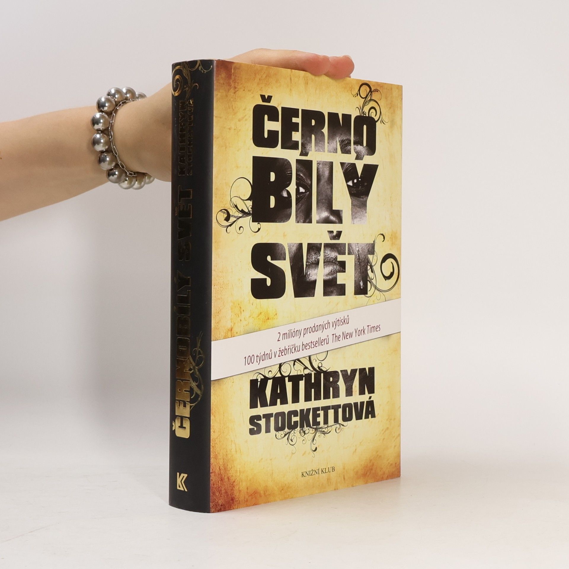 Kathryn Stockett Černobílý svět
