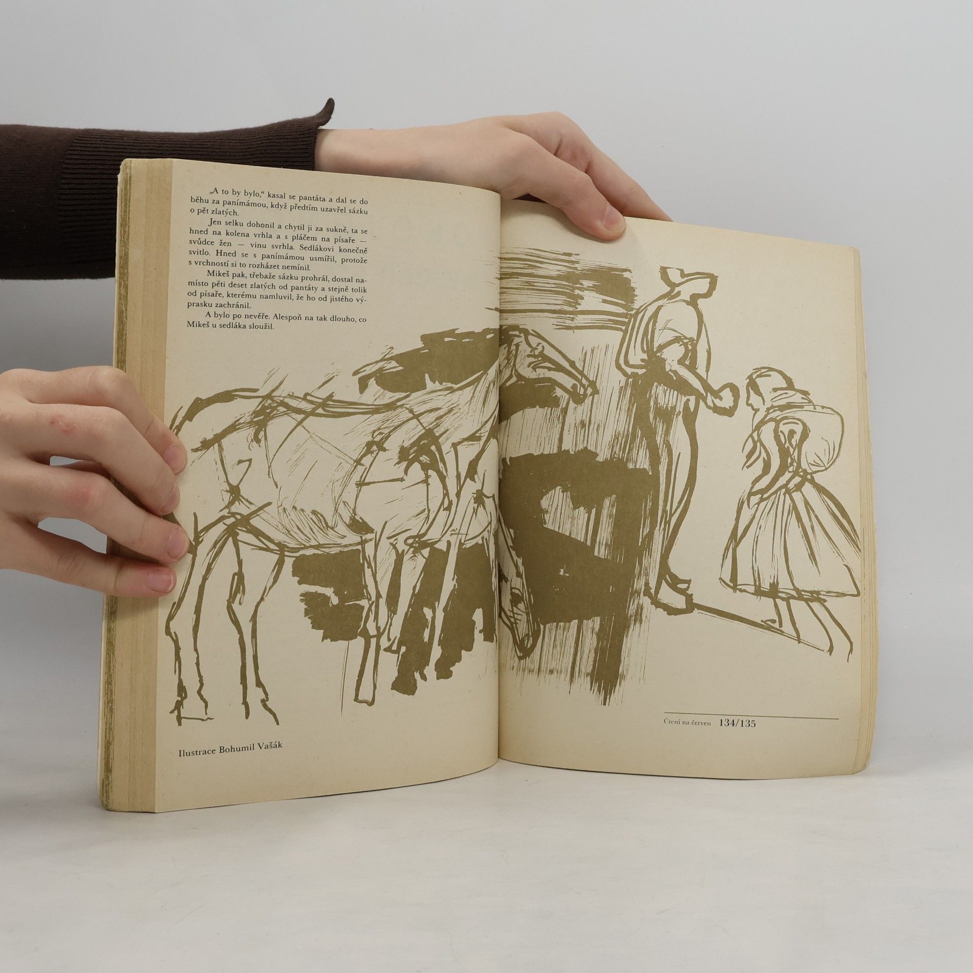 Autorenkollektiv Zemědělský kalendář ’75