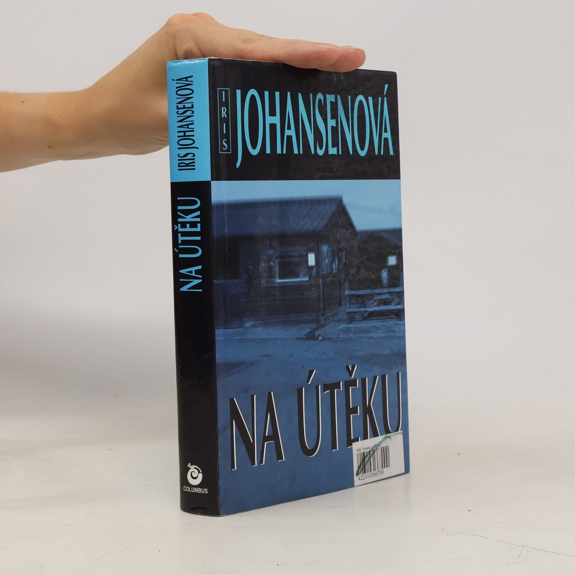 Iris Johansen Na útěku