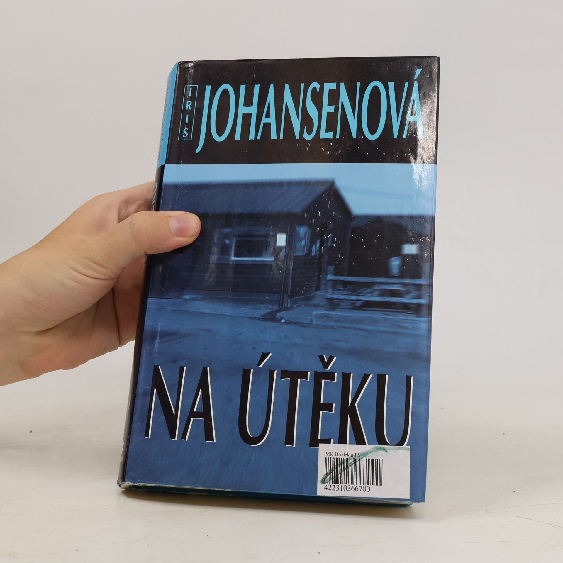 Iris Johansen Na útěku