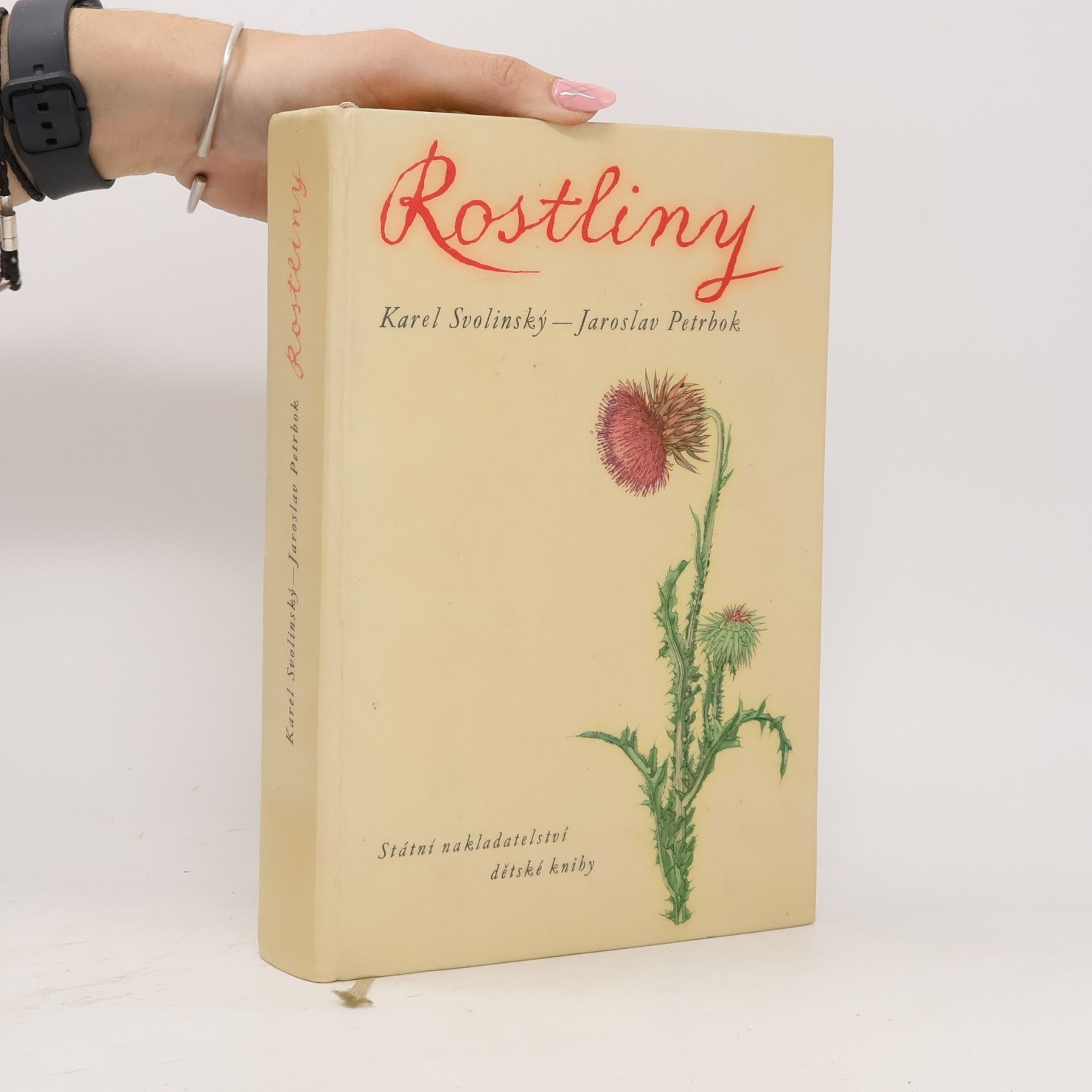 Karel Svolinský Rostliny