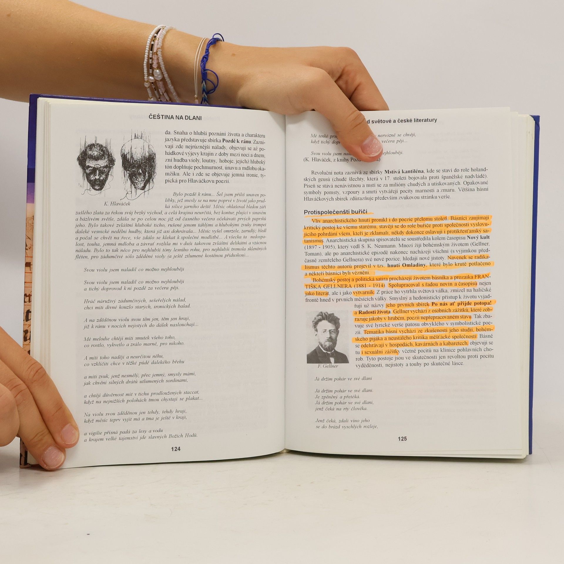 Alois Bauer Čeština na dlani: Přehled světové a české literatury, český jazyk