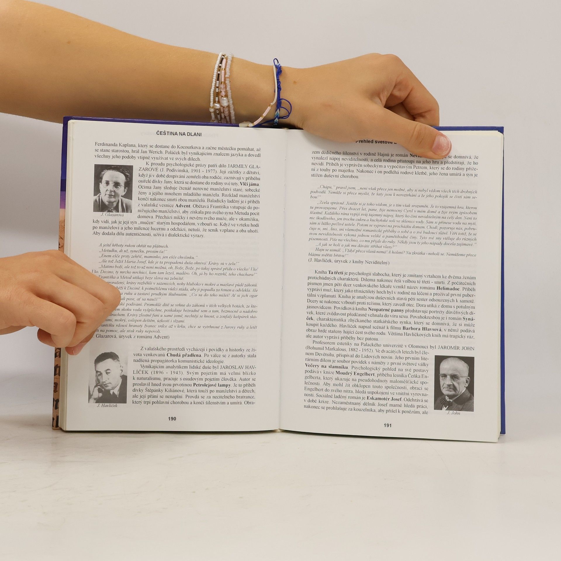 Alois Bauer Čeština na dlani: Přehled světové a české literatury, český jazyk