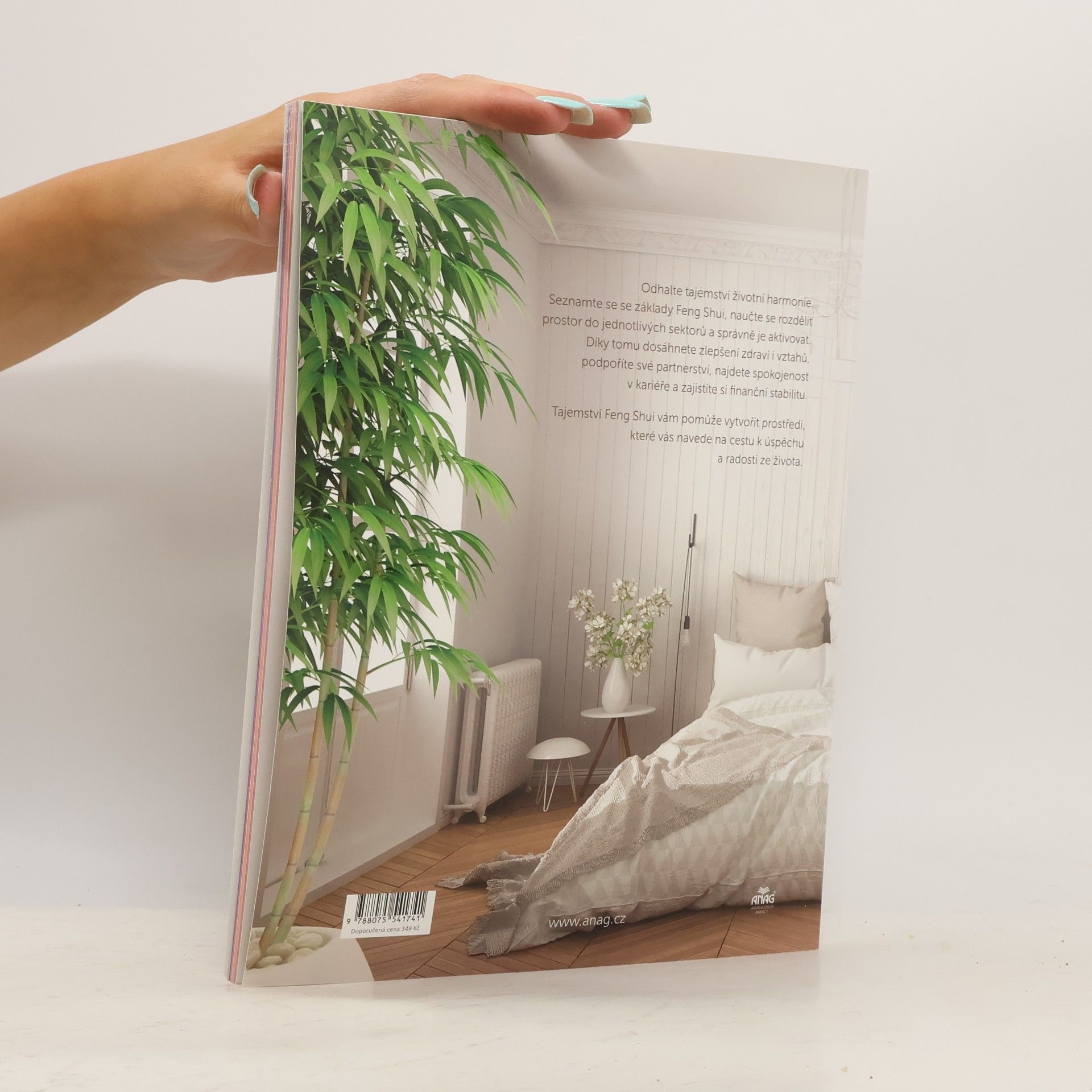Ludmila Djemelová Tajemství Feng Shui