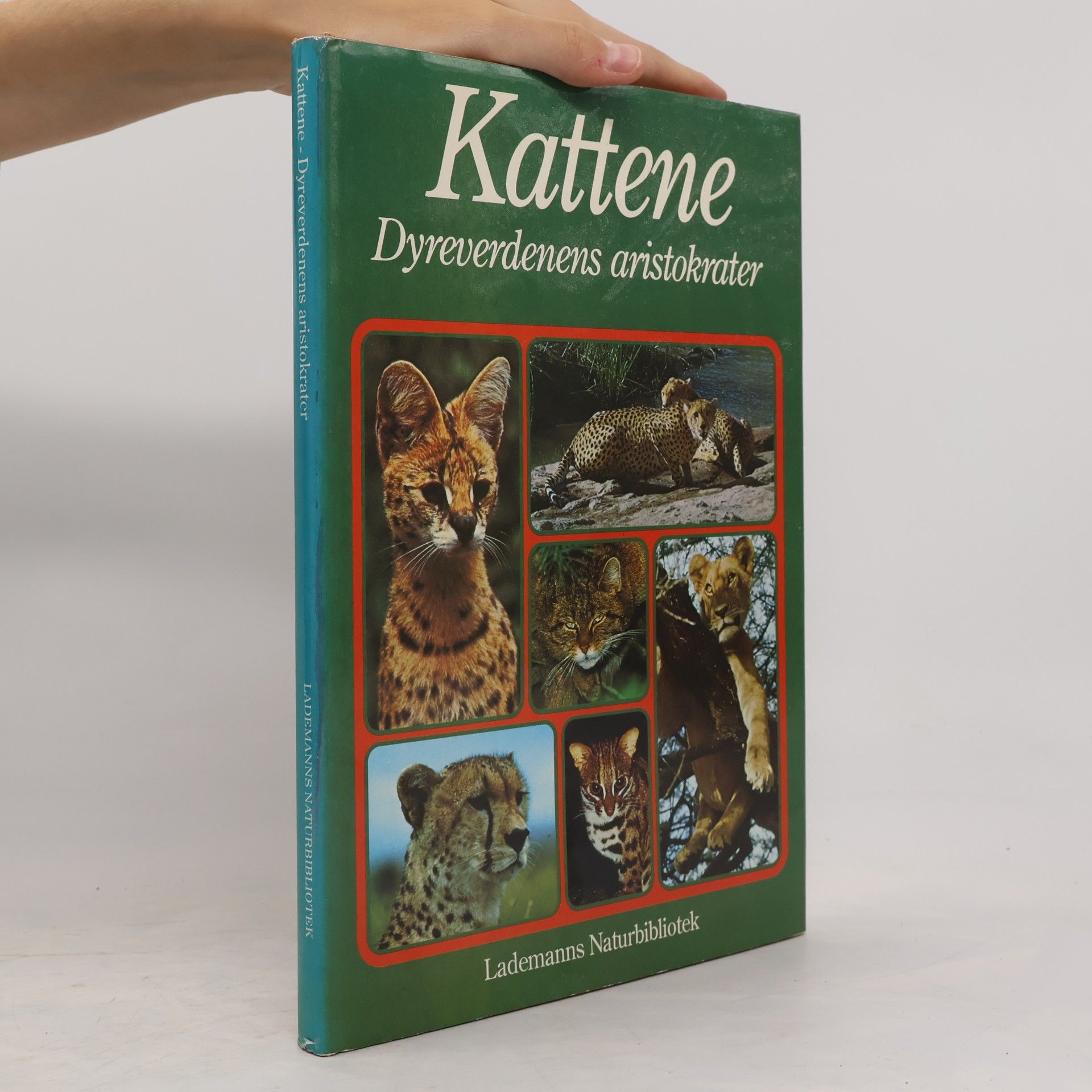 Guido Badino Kattene