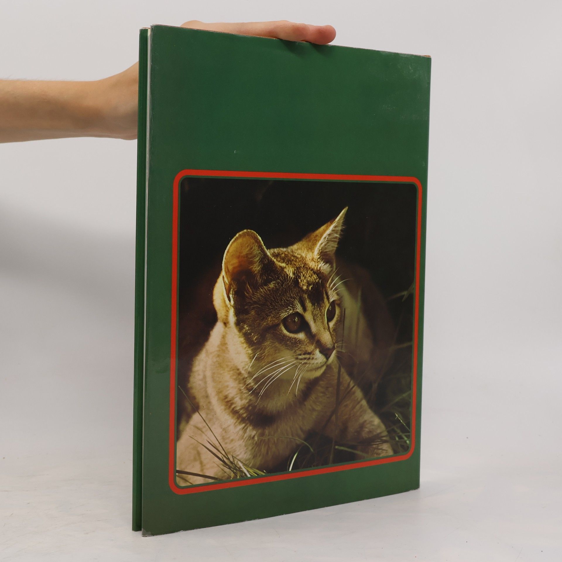 Guido Badino Kattene