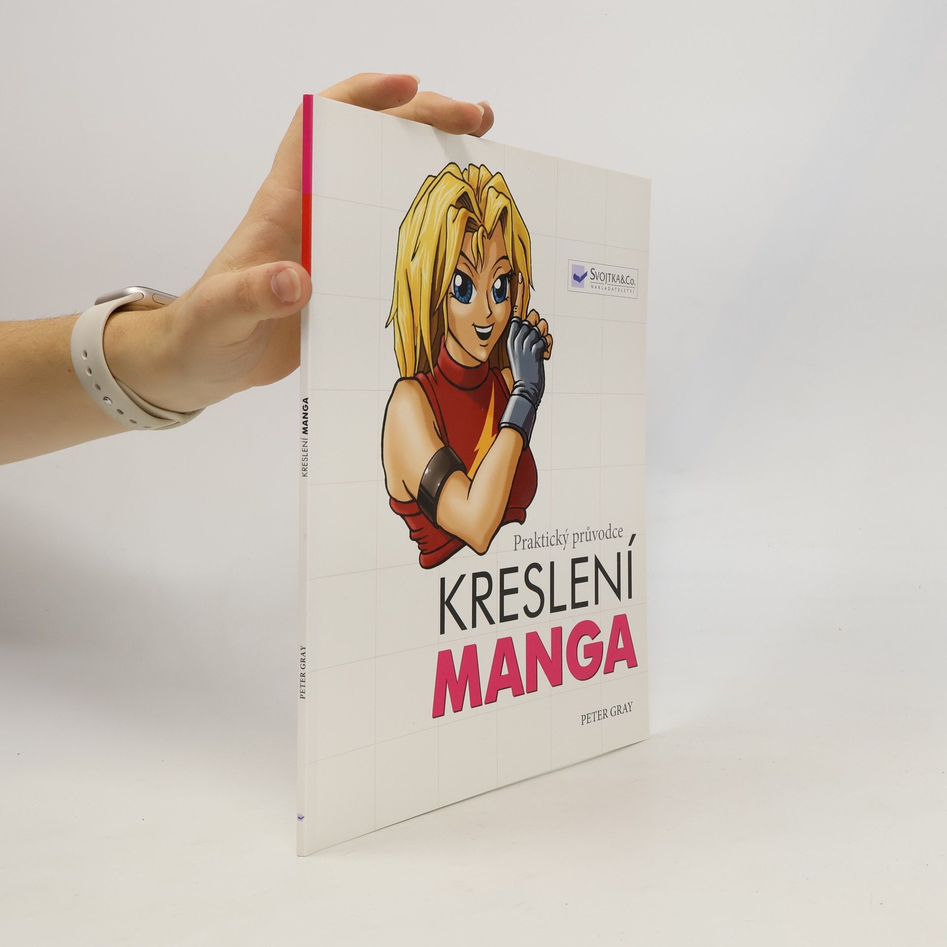 Peter Gray Praktický průvodce kreslení: Manga