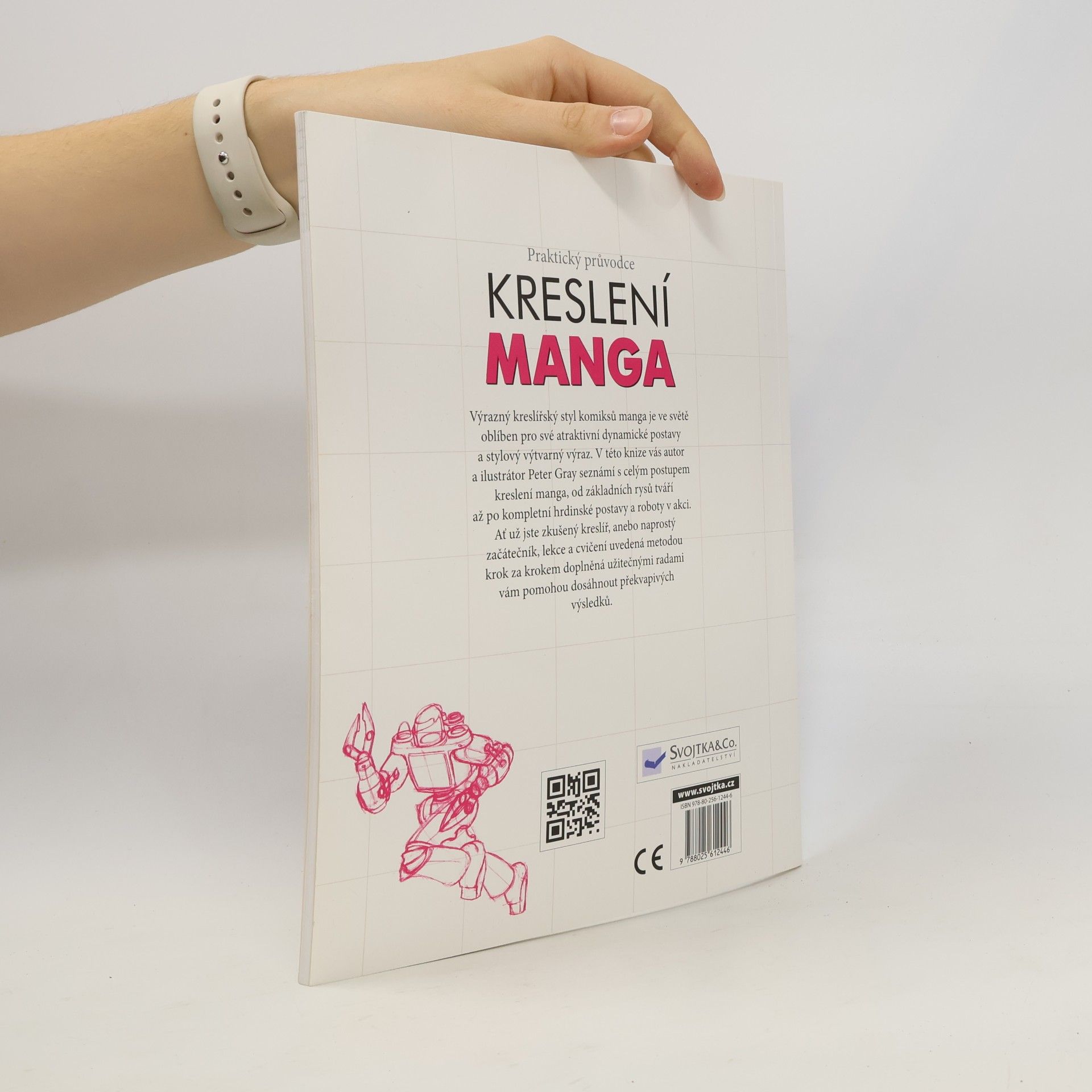 Peter Gray Praktický průvodce kreslení: Manga