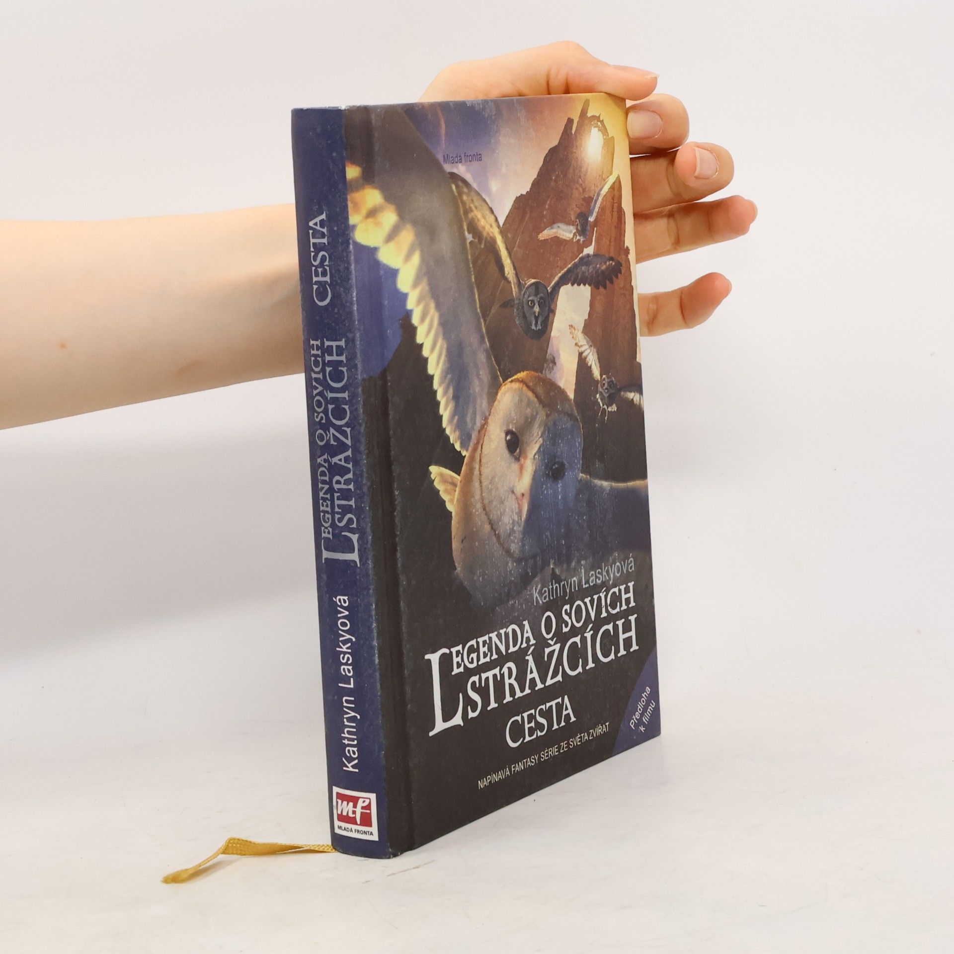 Kathryn Lasky Legenda o sovích strážcích. II., Cesta