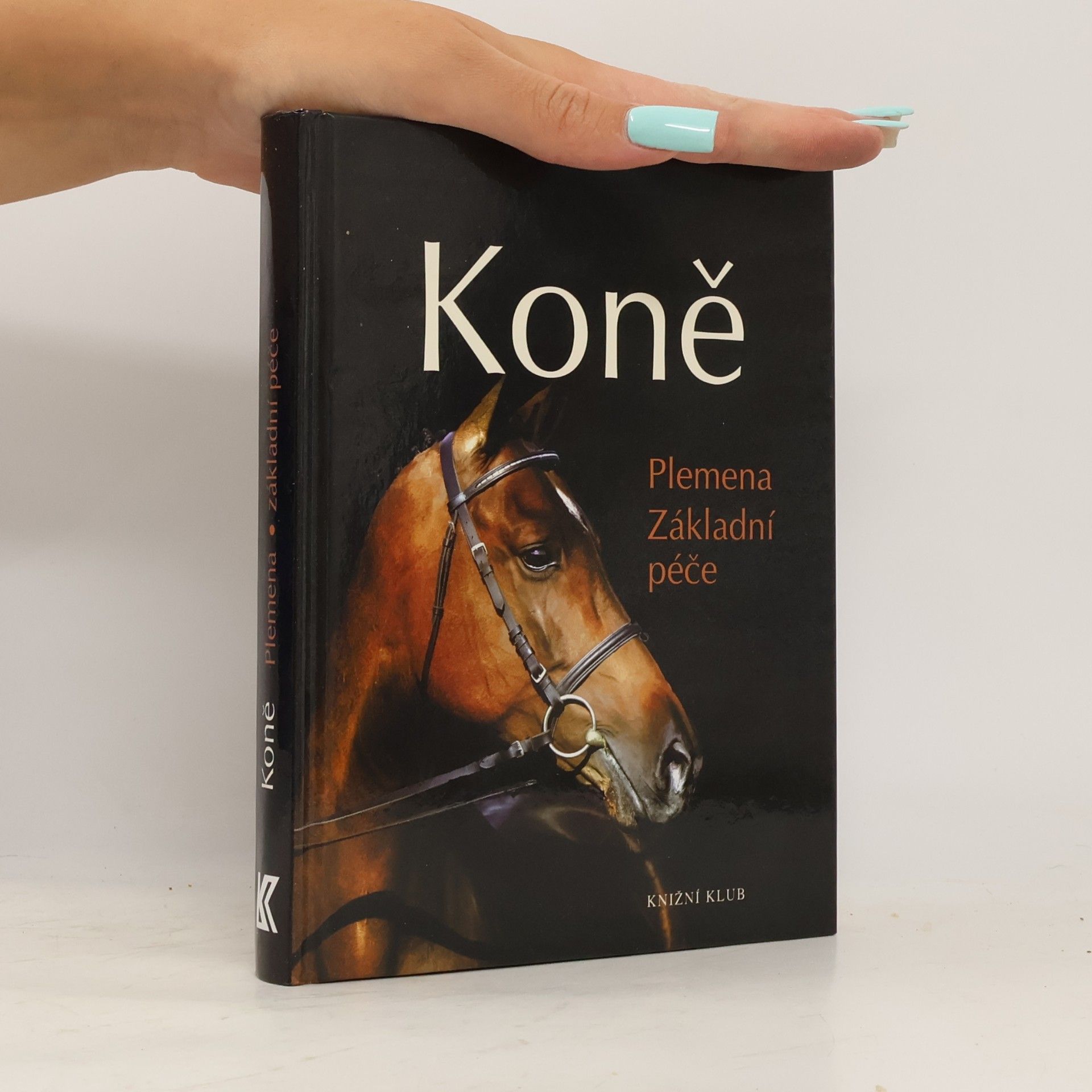 Saskia Brixner Koně. Plemena, základní péče