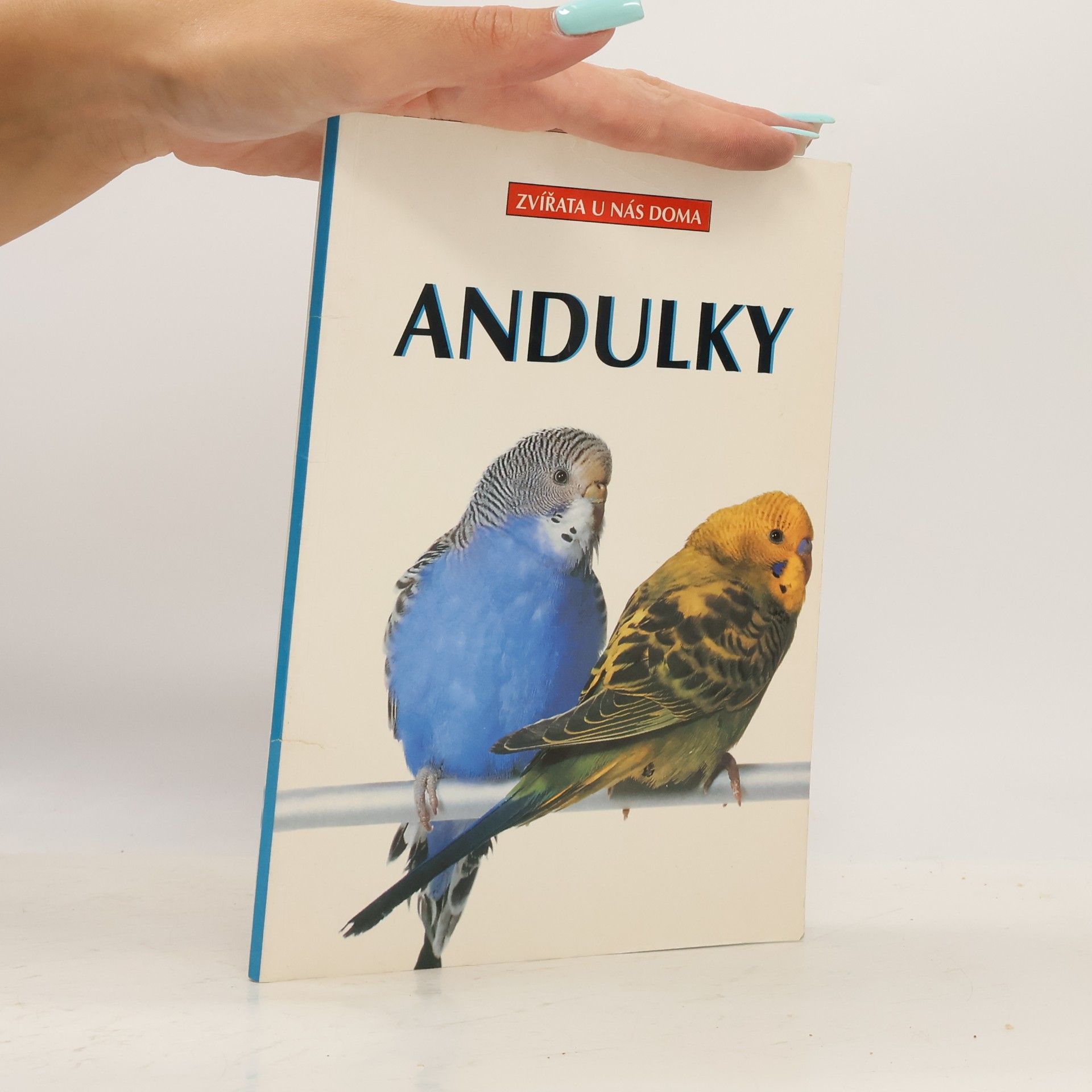 Auteurscollectief Andulky