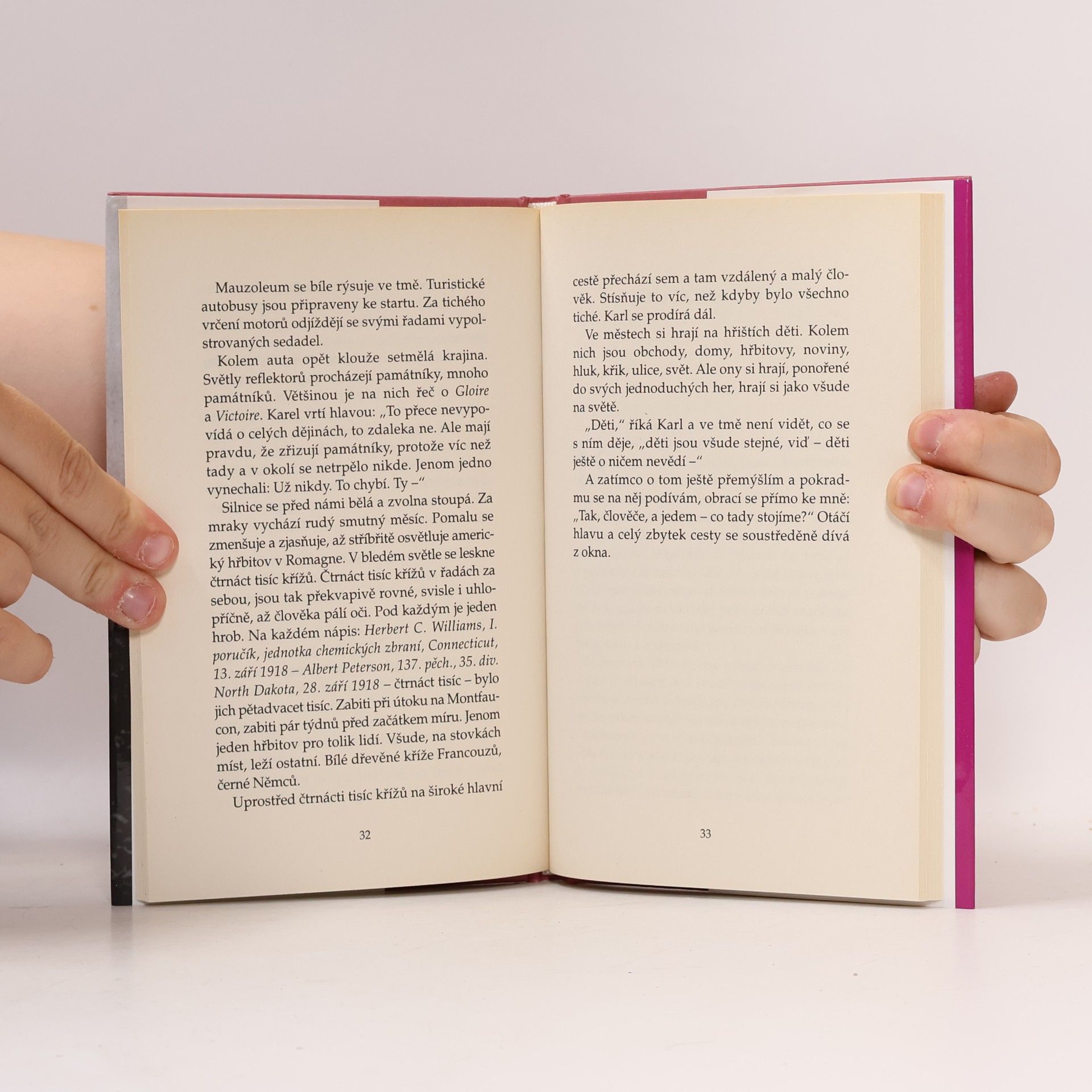 Erich Maria Remarque Nepřítel