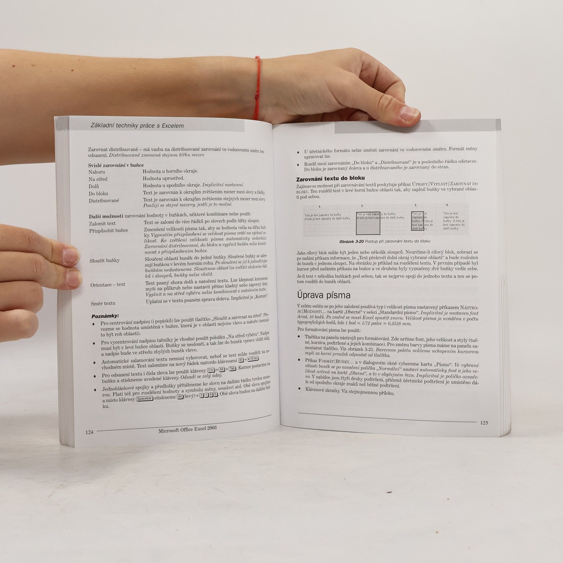 Milan Brož Microsoft Office Excel 2003 : podrobná uživatelská příručka