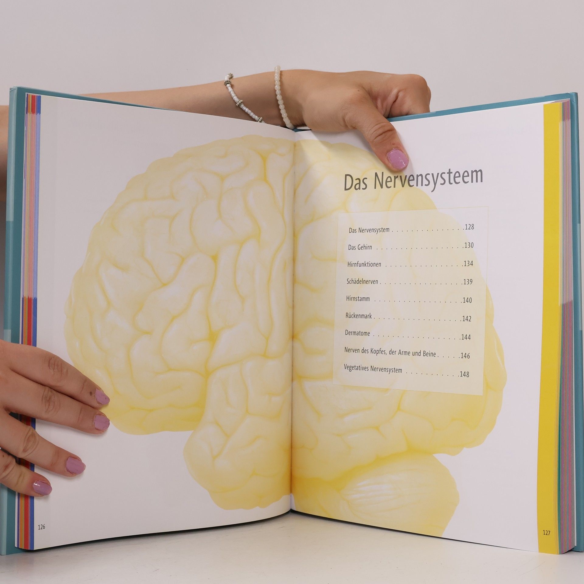 Ken Ashwell Die Anatomie des menschlichen Körpers