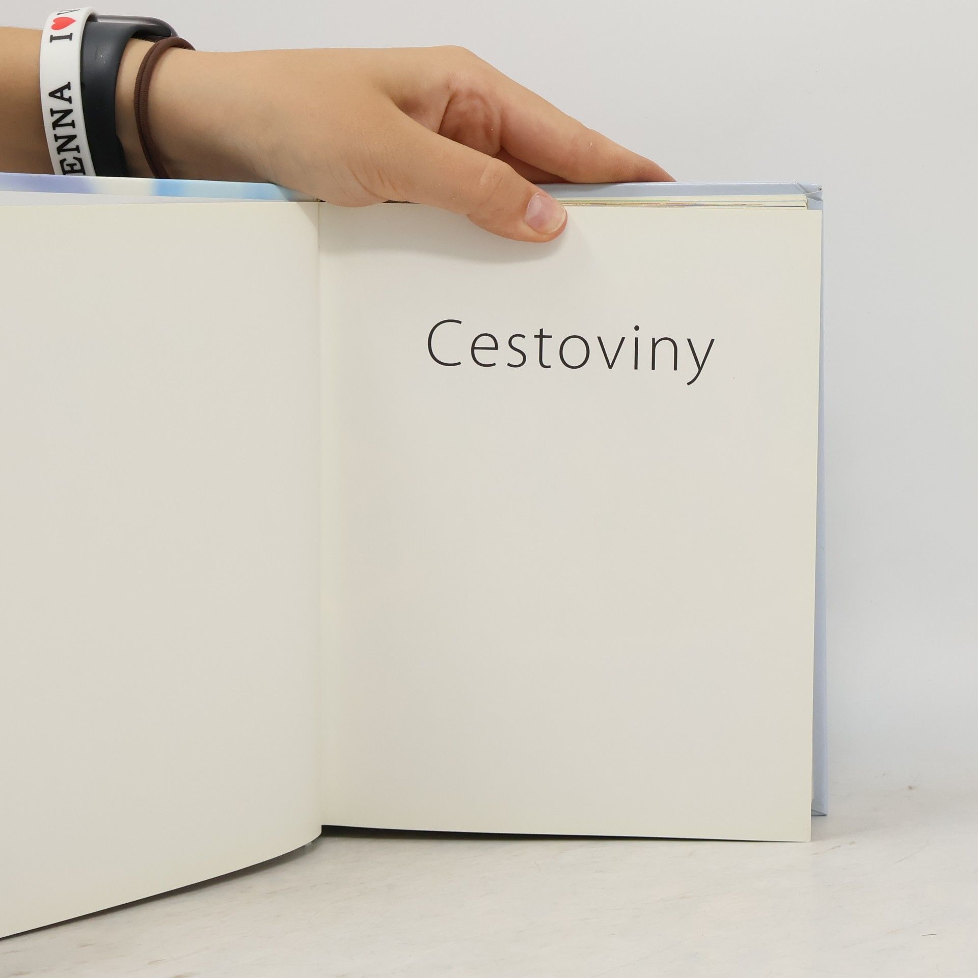 Autorenkollektiv Cestoviny