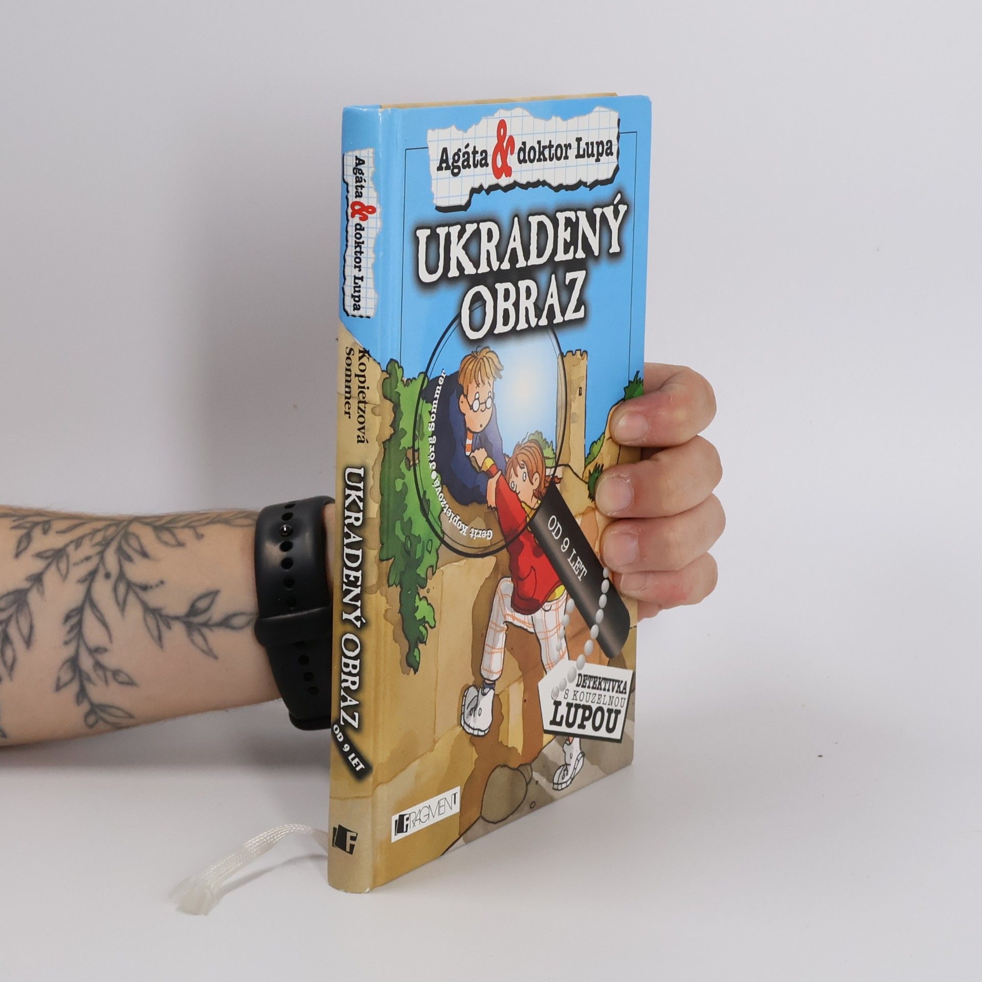 Jörg Sommer Ukradený obraz