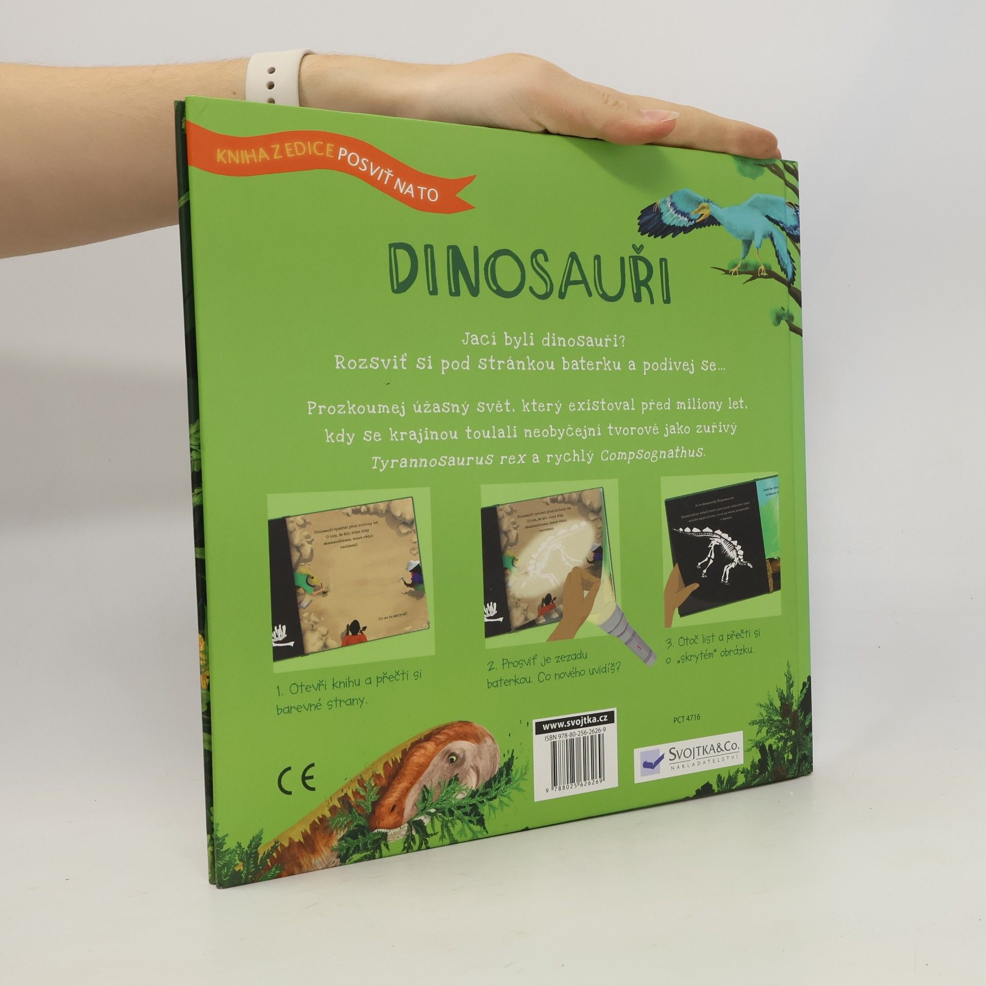 Sara Hurst Dinosauři
