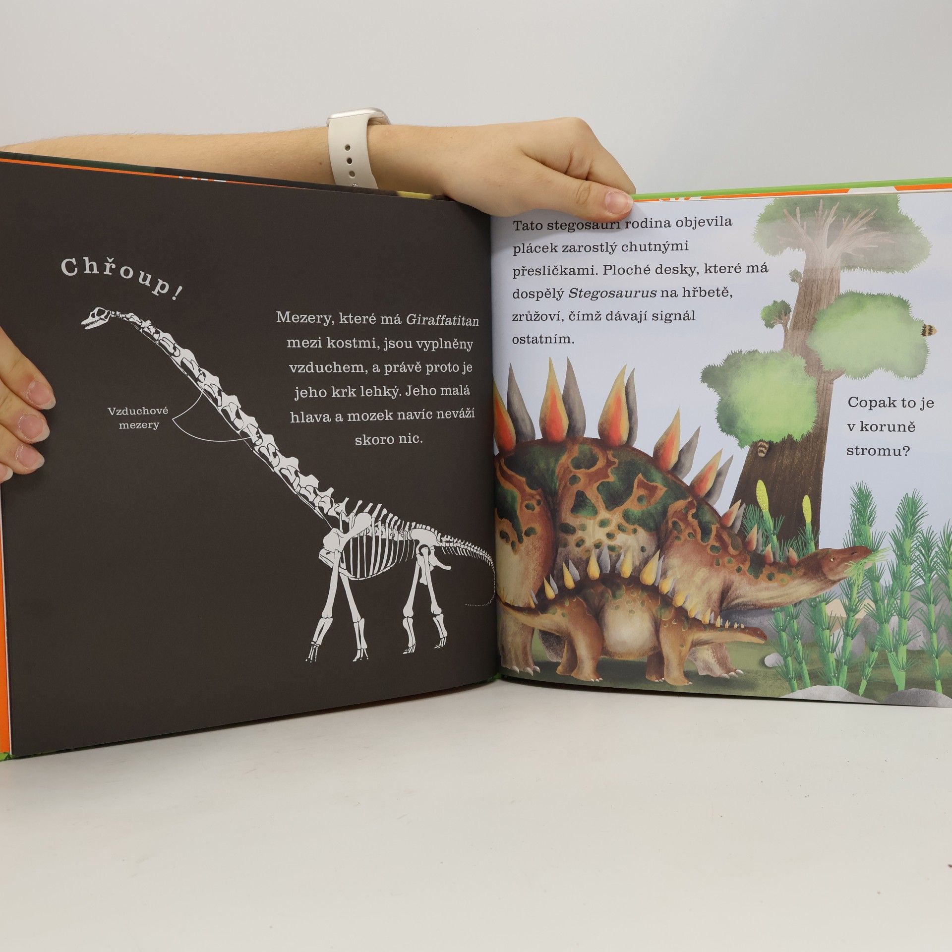 Sara Hurst Dinosauři